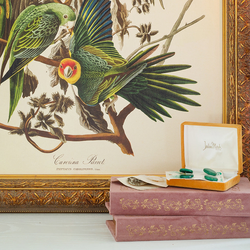 Details of Carolina Parrots Botanical canvas framed in Regency Gold