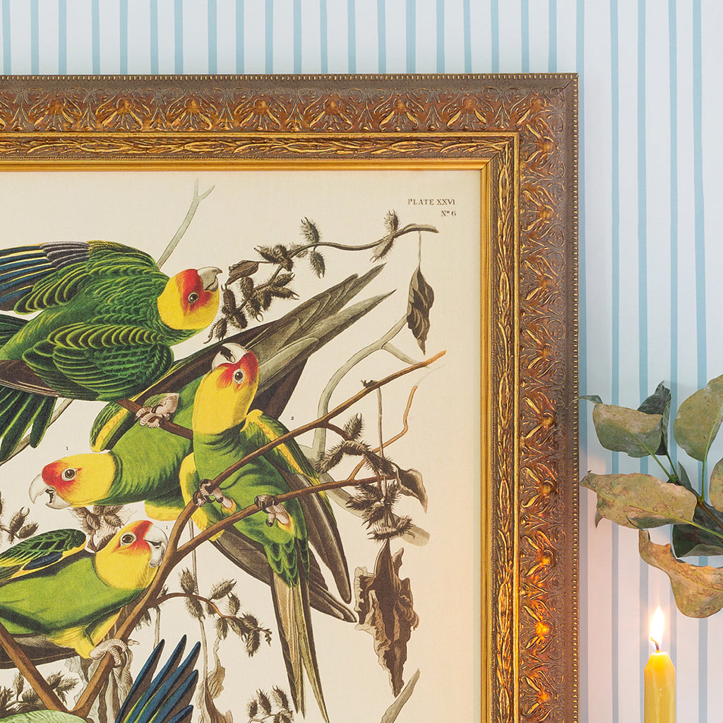 Details of Carolina Parrots Botanical canvas framed in Regency Gold