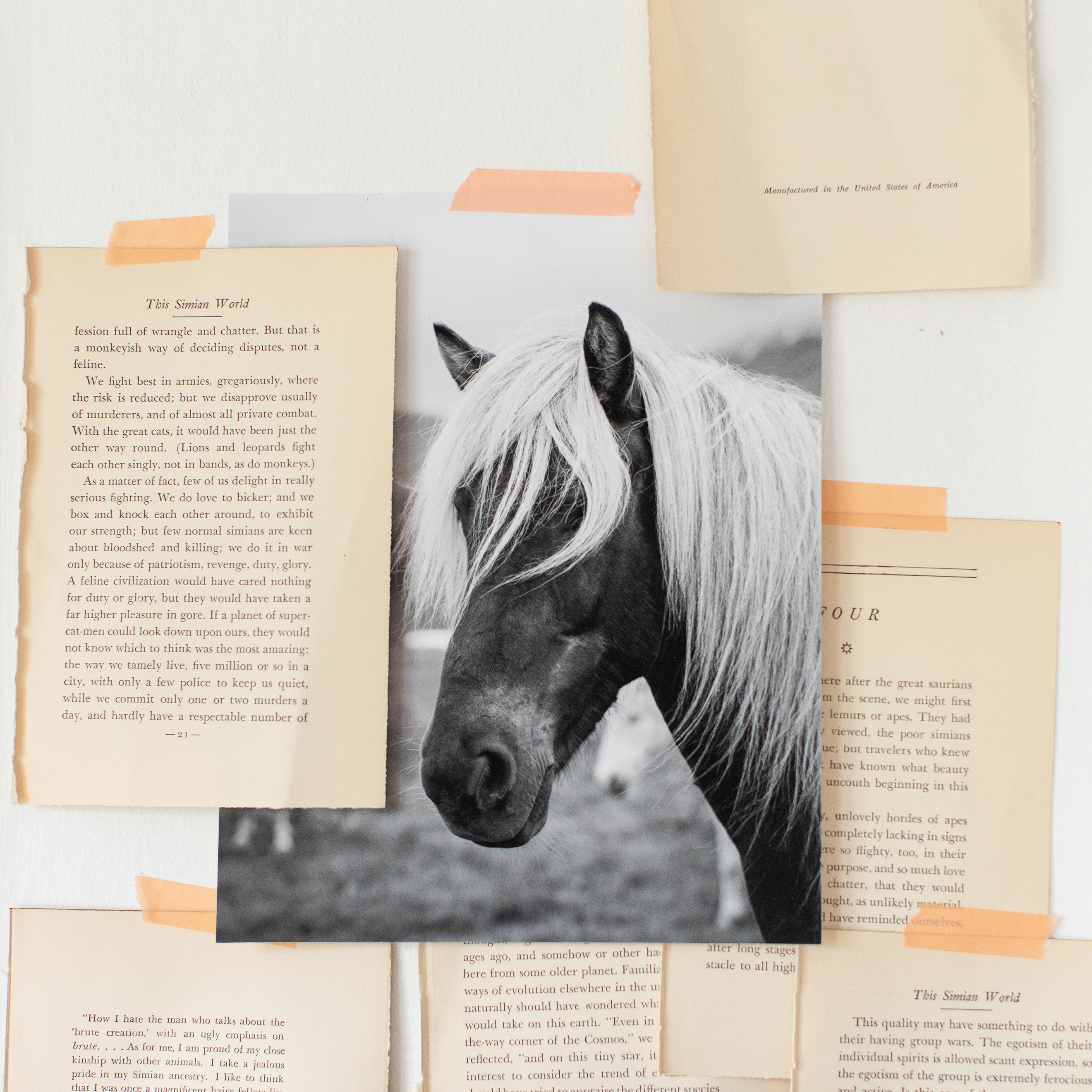 Goldilocks | Art Print