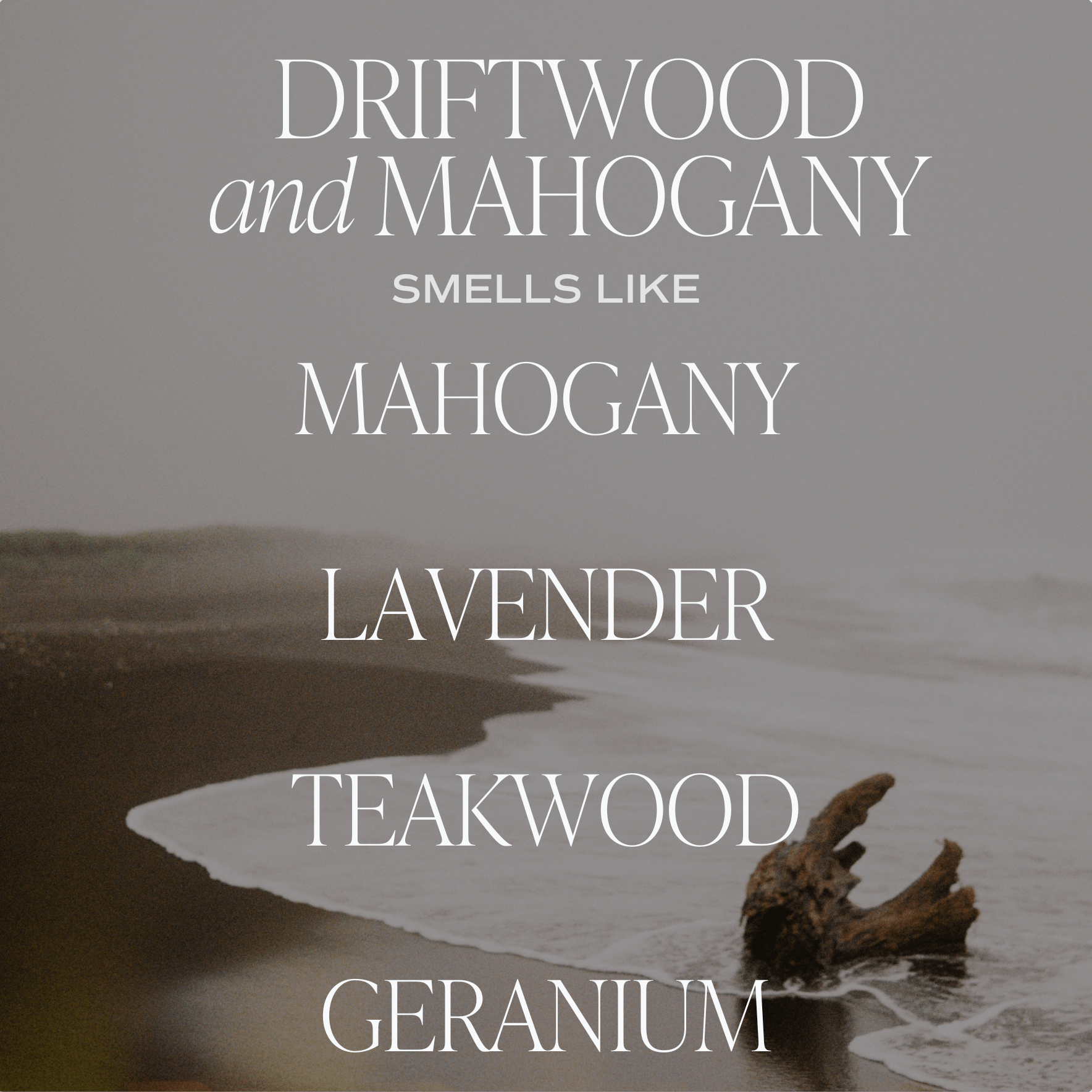 Driftwood and Mahogany Soy Candle (15oz Brown Matte Jar)
