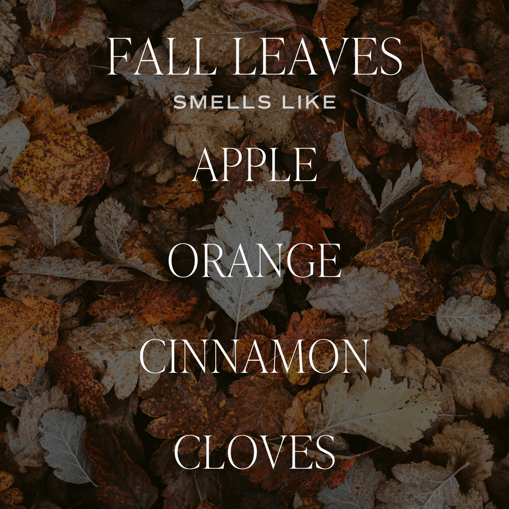 Fall Leaves Soy Candle (15oz Brown Matte Jar)
