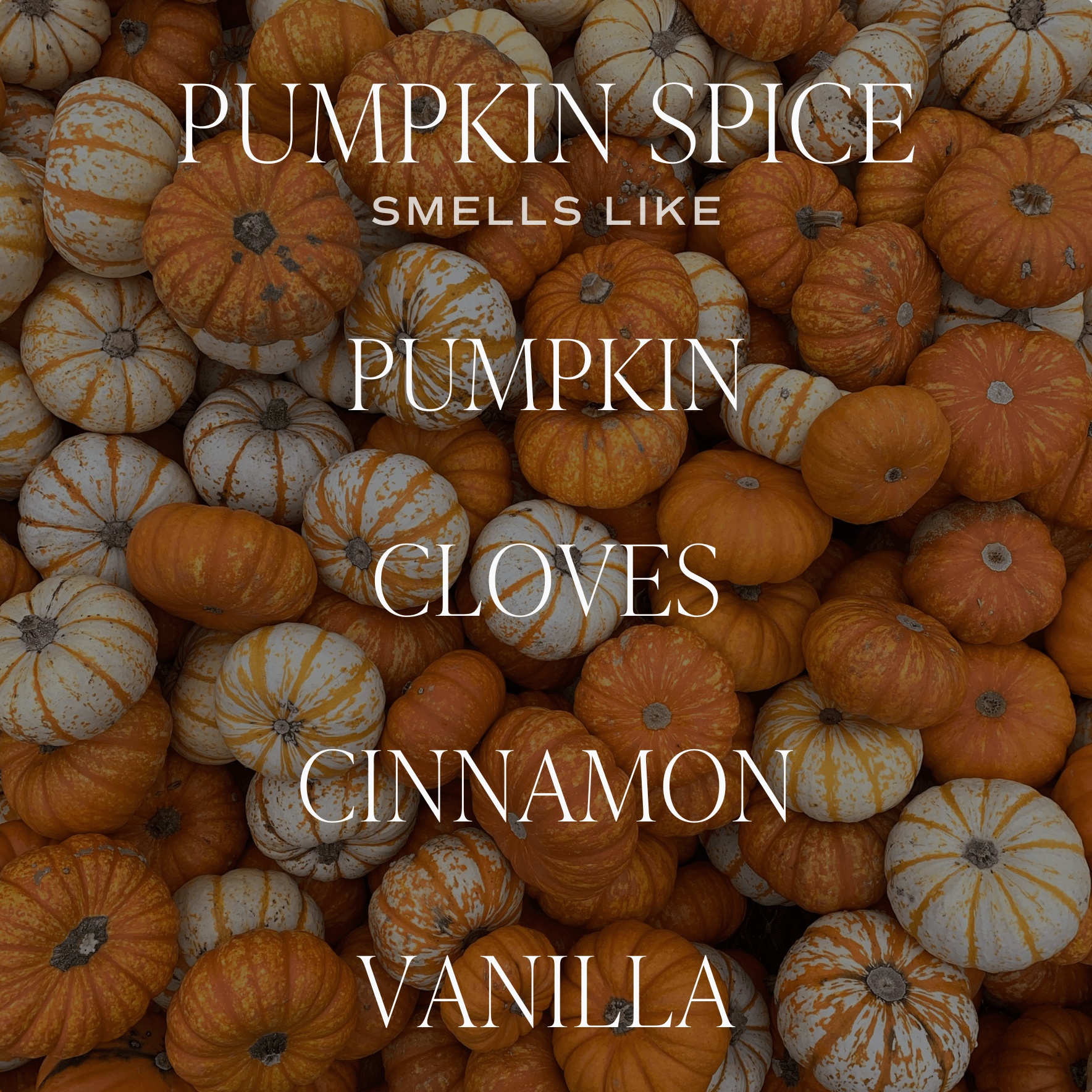 Pumpkin Spice Soy Candle (12oz Tinted Glass Jar)