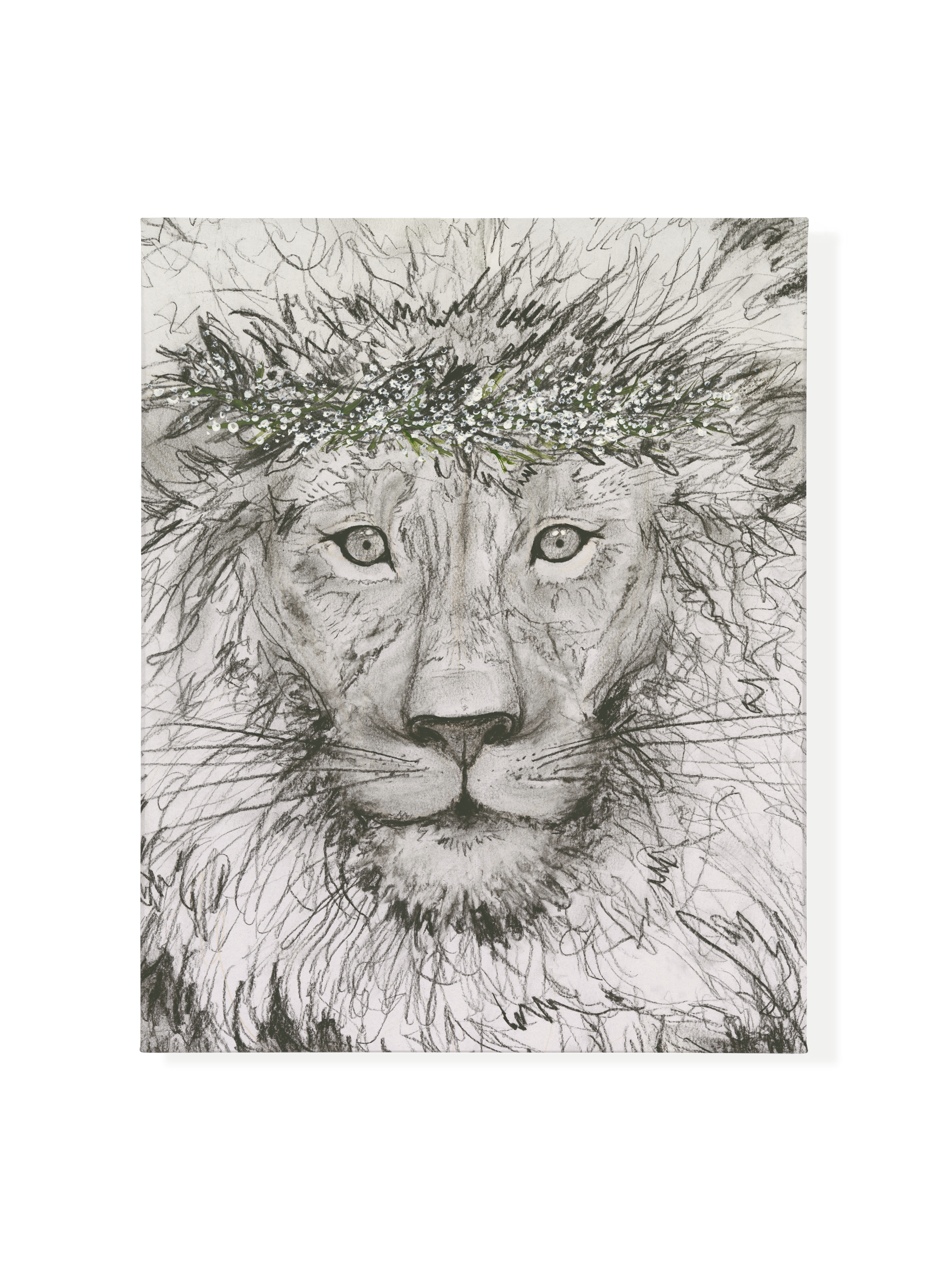 Aslan | Canvas
