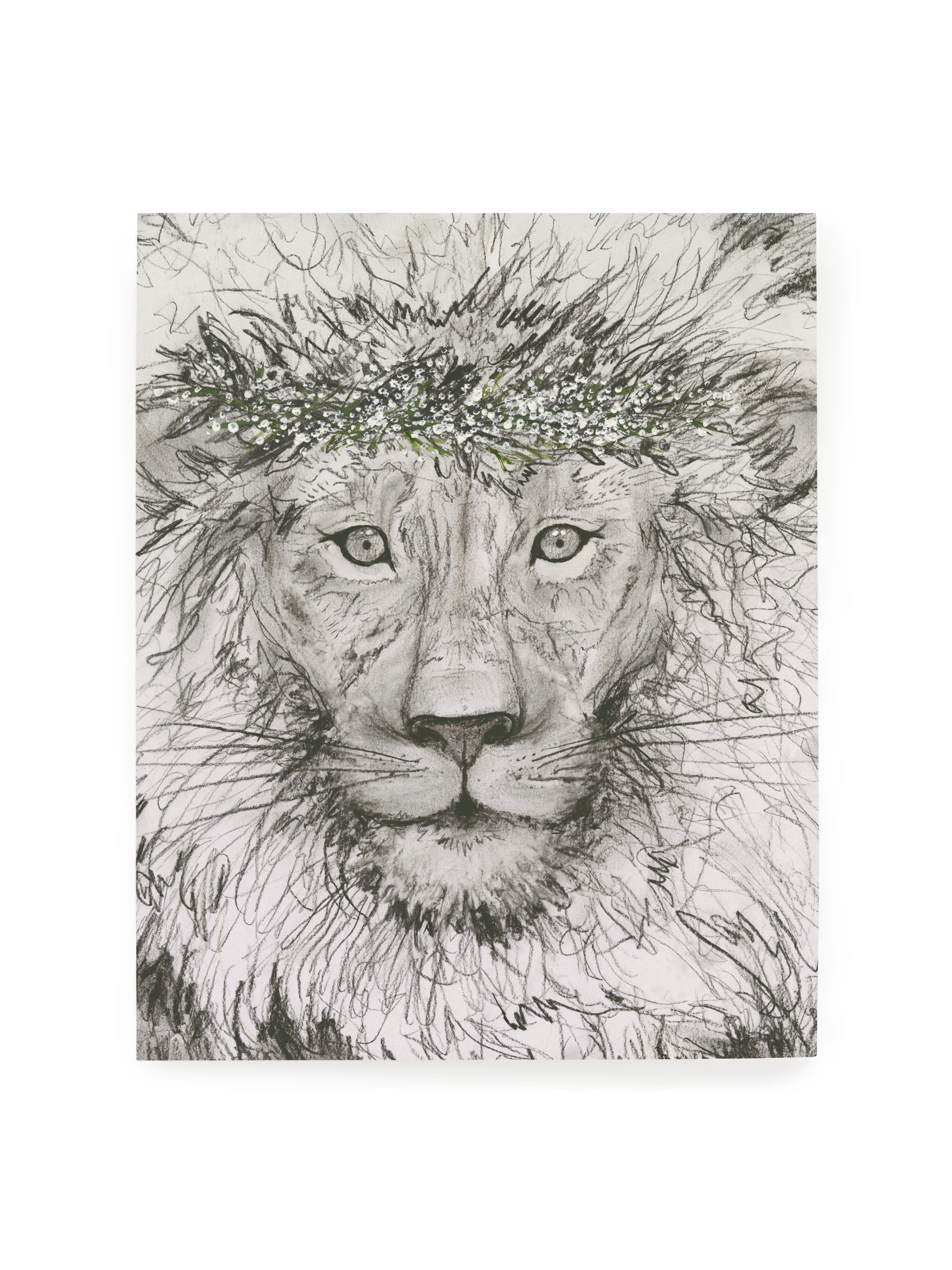 Aslan Luxe Art Print