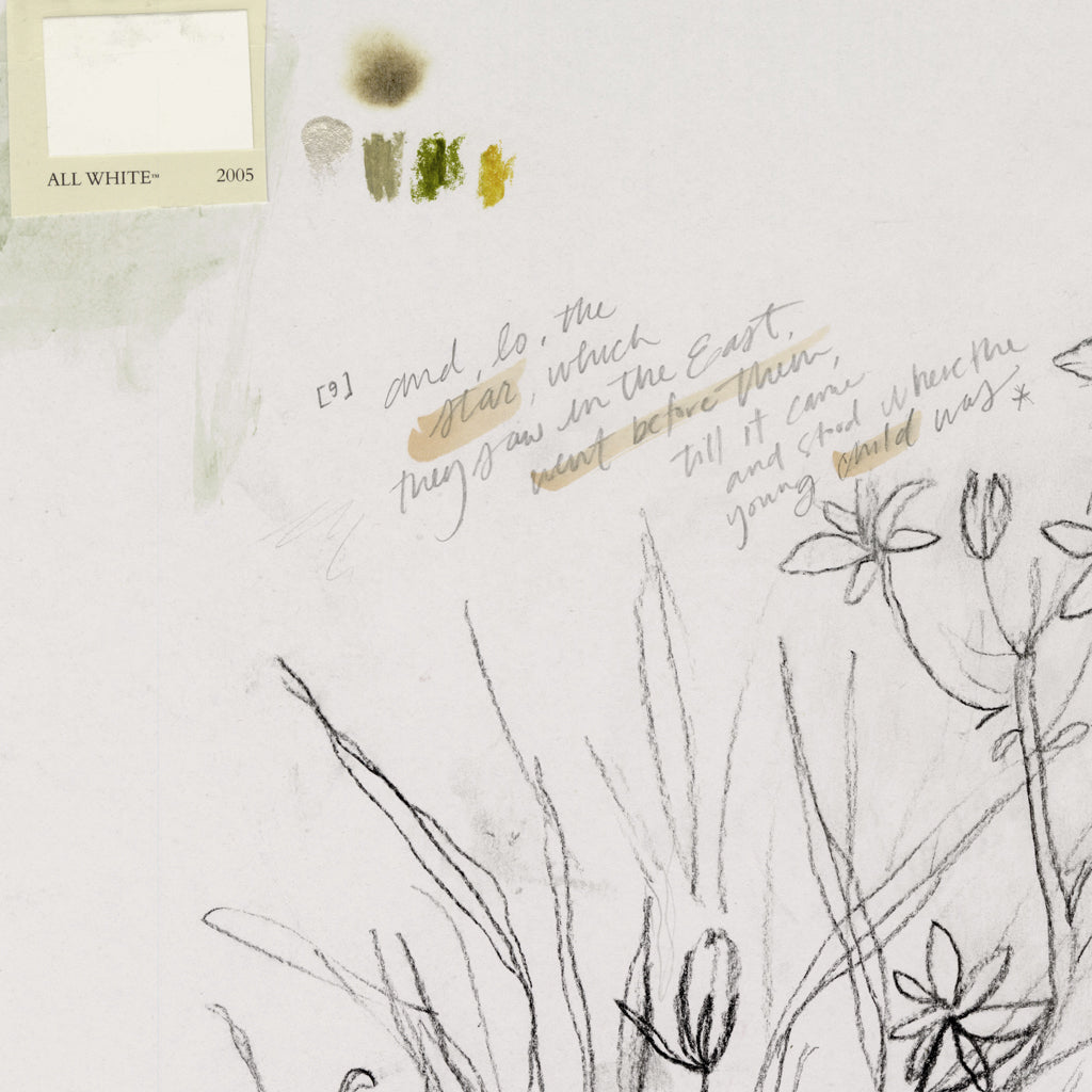 Star of Bethlehem Flower | Canvas