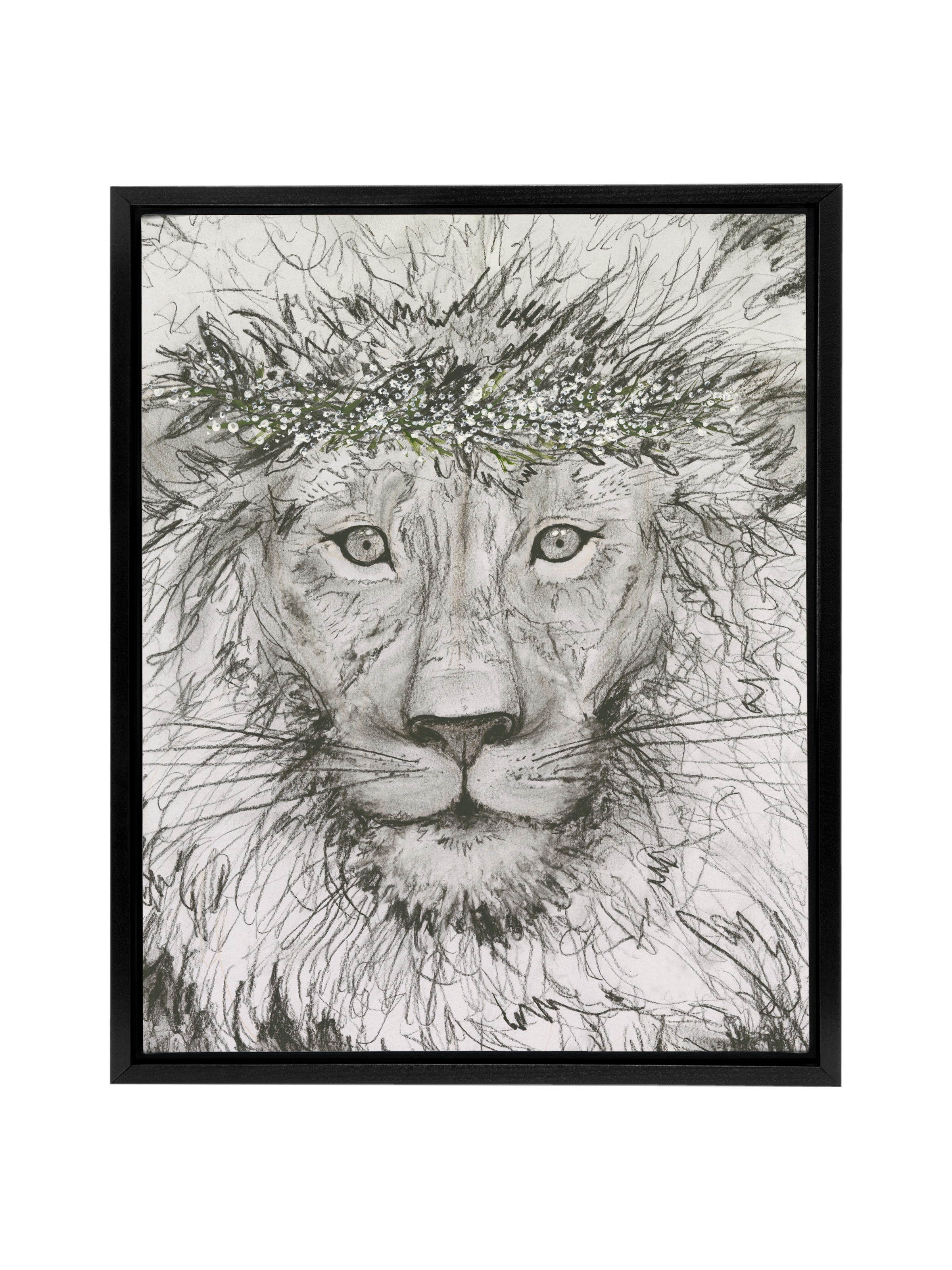 Aslan | Canvas
