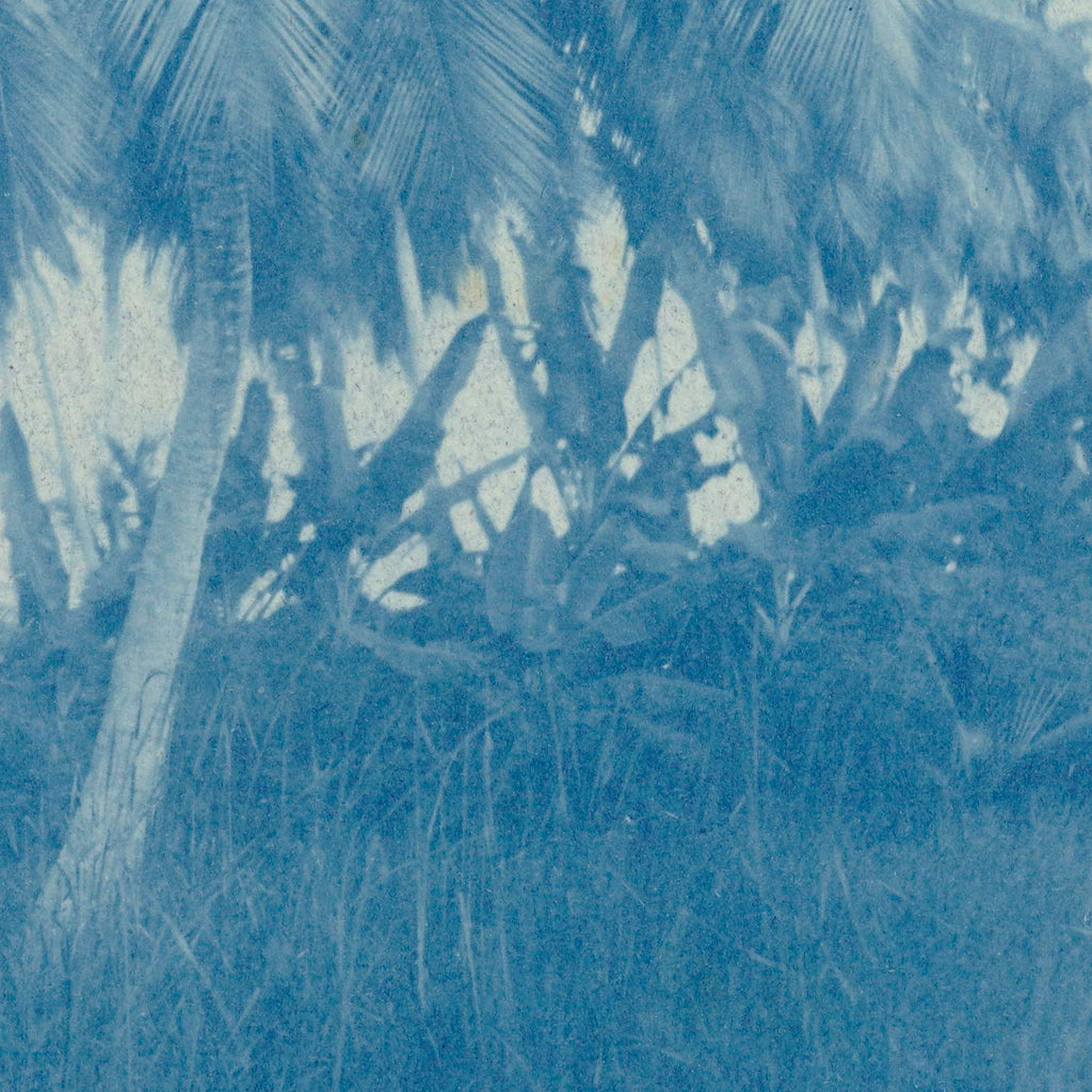 Cyanotype Palms | Canvas