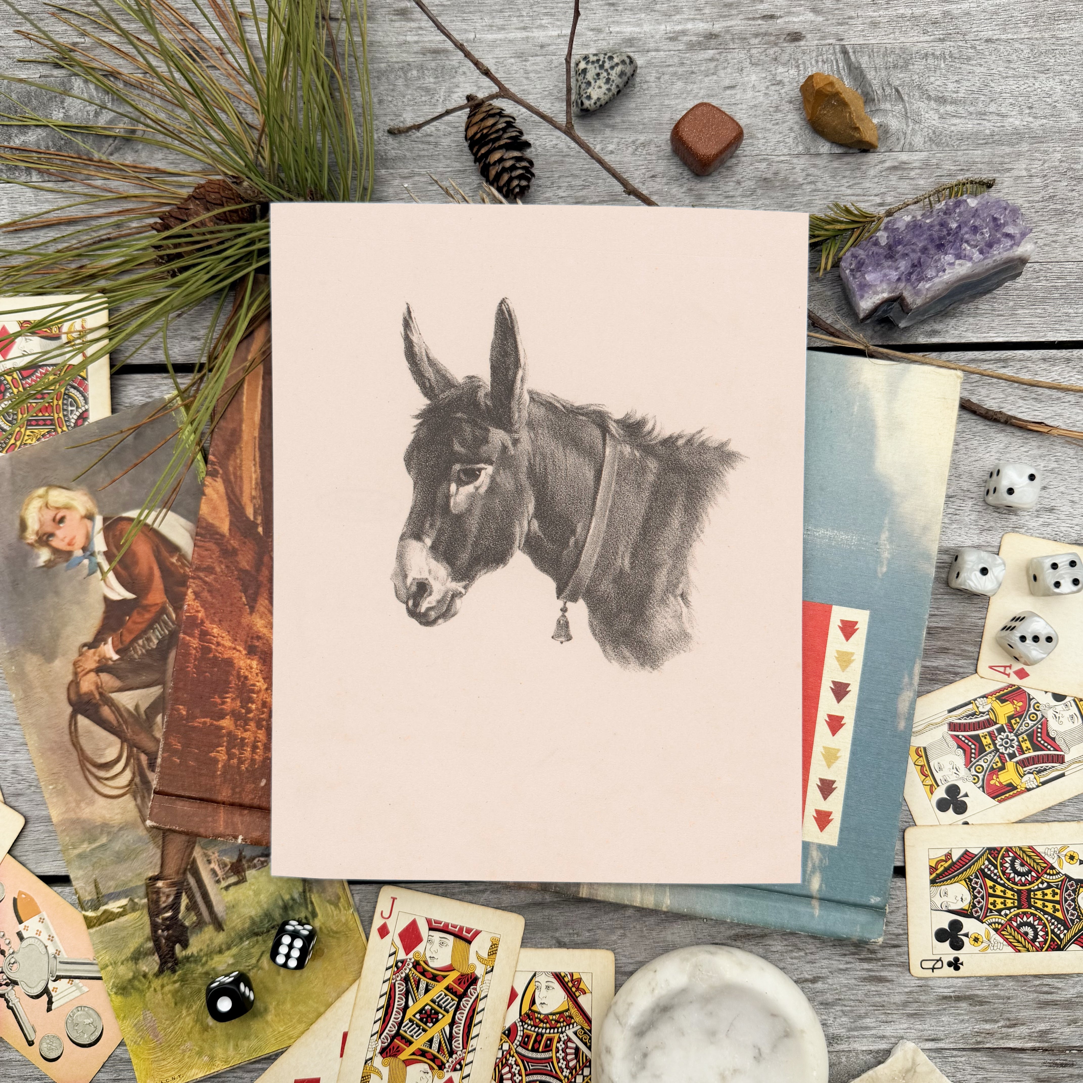 Little Burro Sketch Art Print