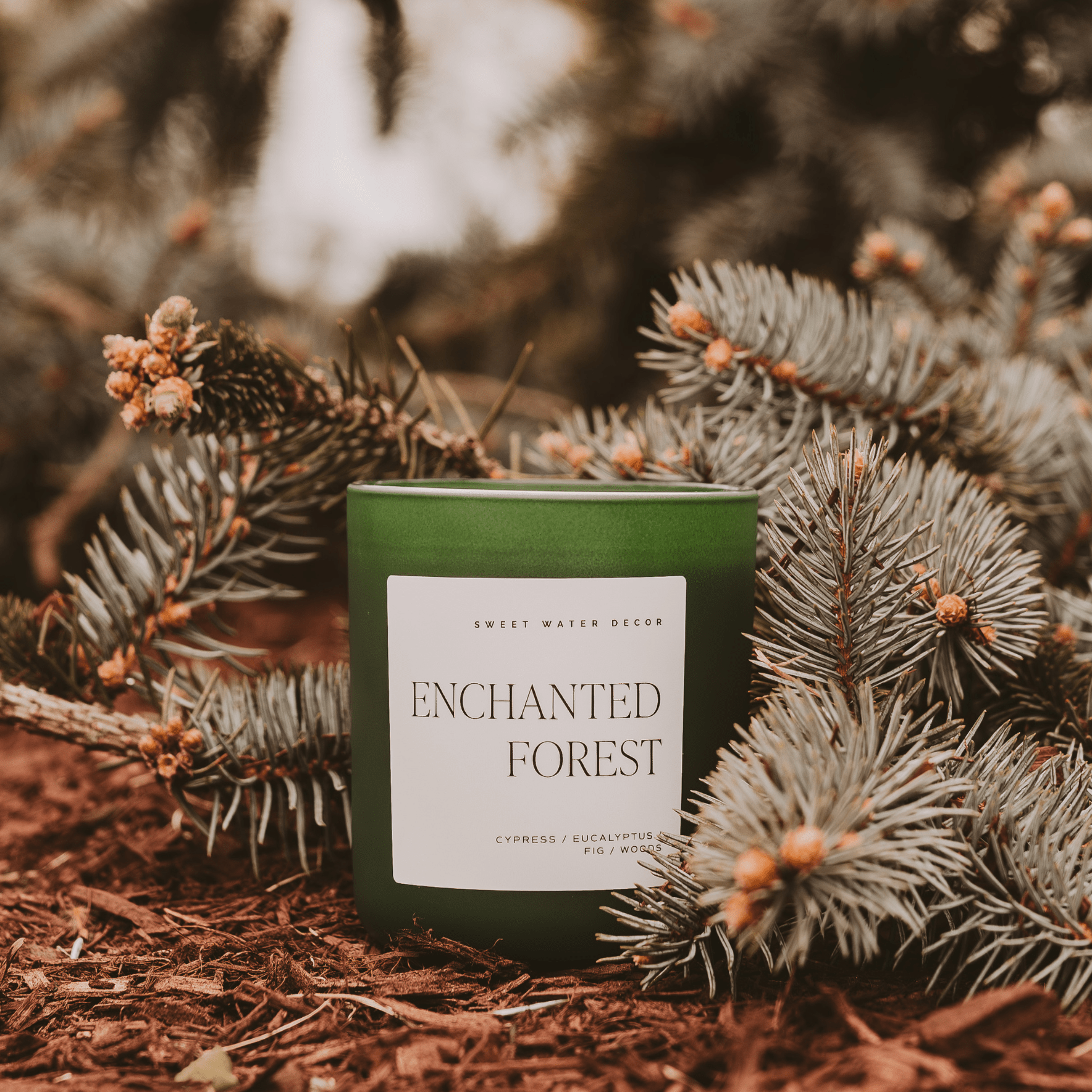 Enchanted Forest Soy Candle (15oz Green Matte Jar – Cypress and Fig)