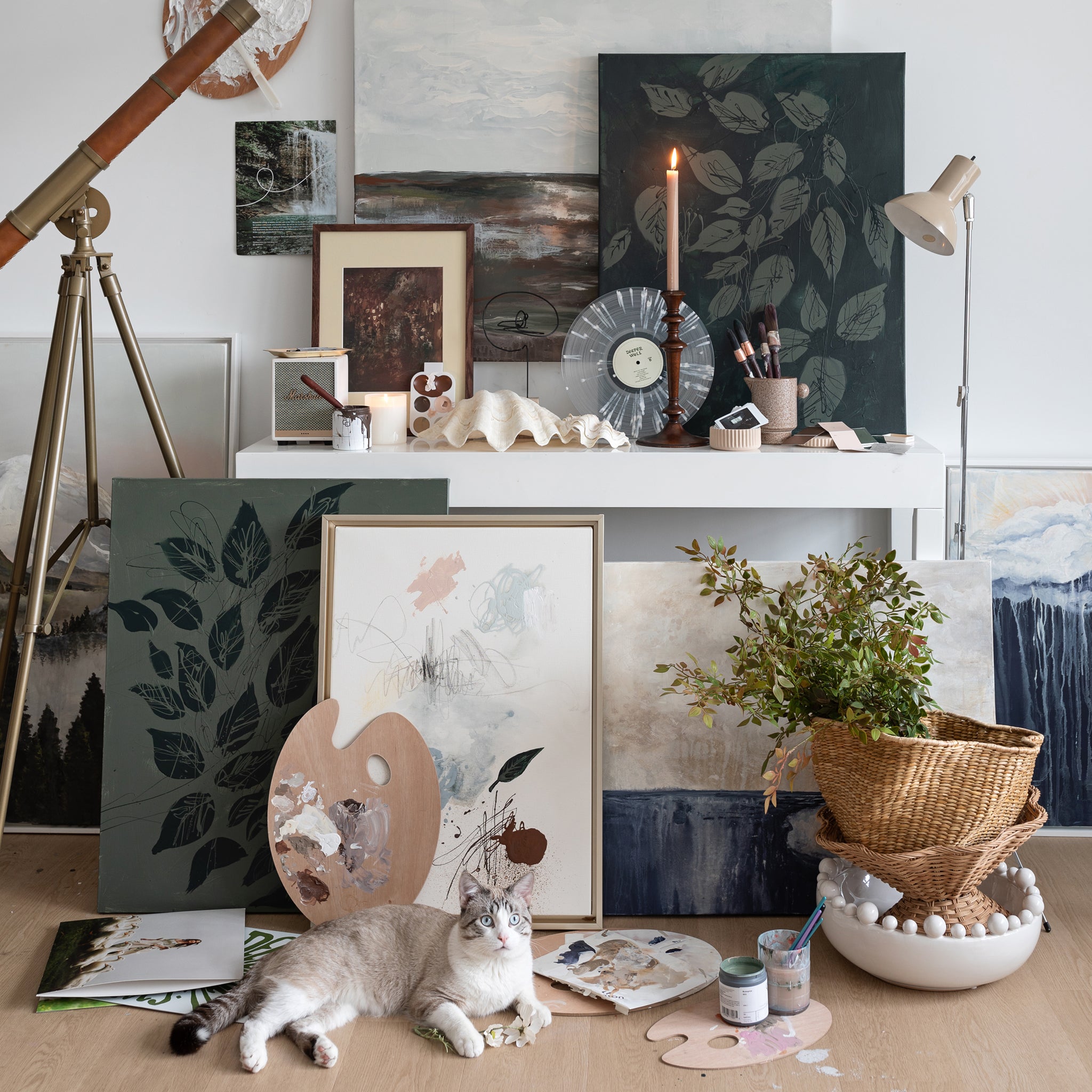 Canopy at Night | Canvas