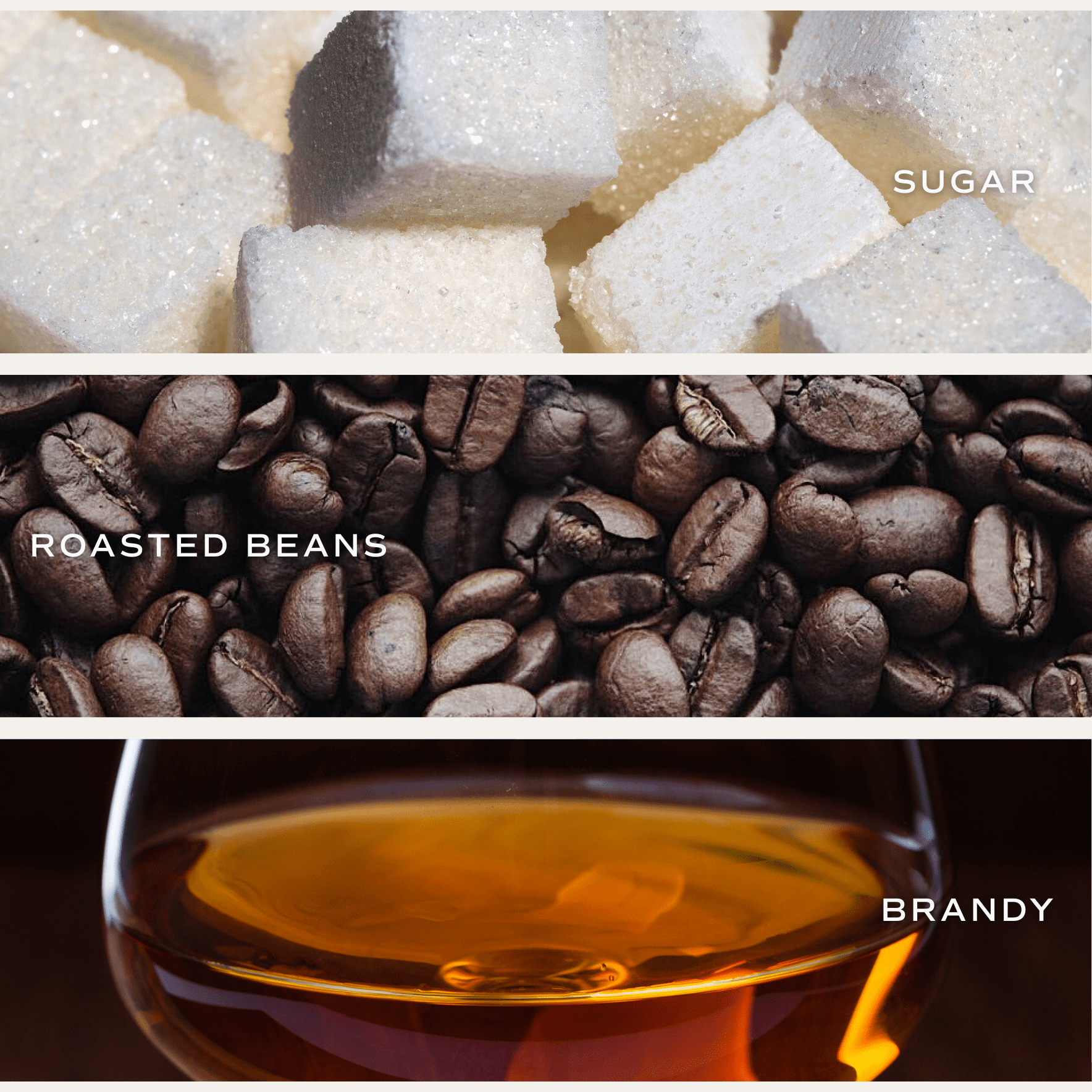 Fresh Coffee Soy Candle (11oz White Jar)