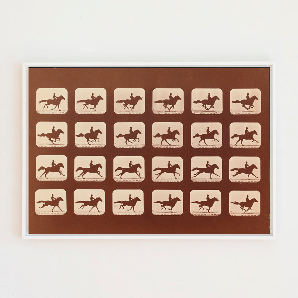 Horse On Film Canvas Wall Art. Rectangle