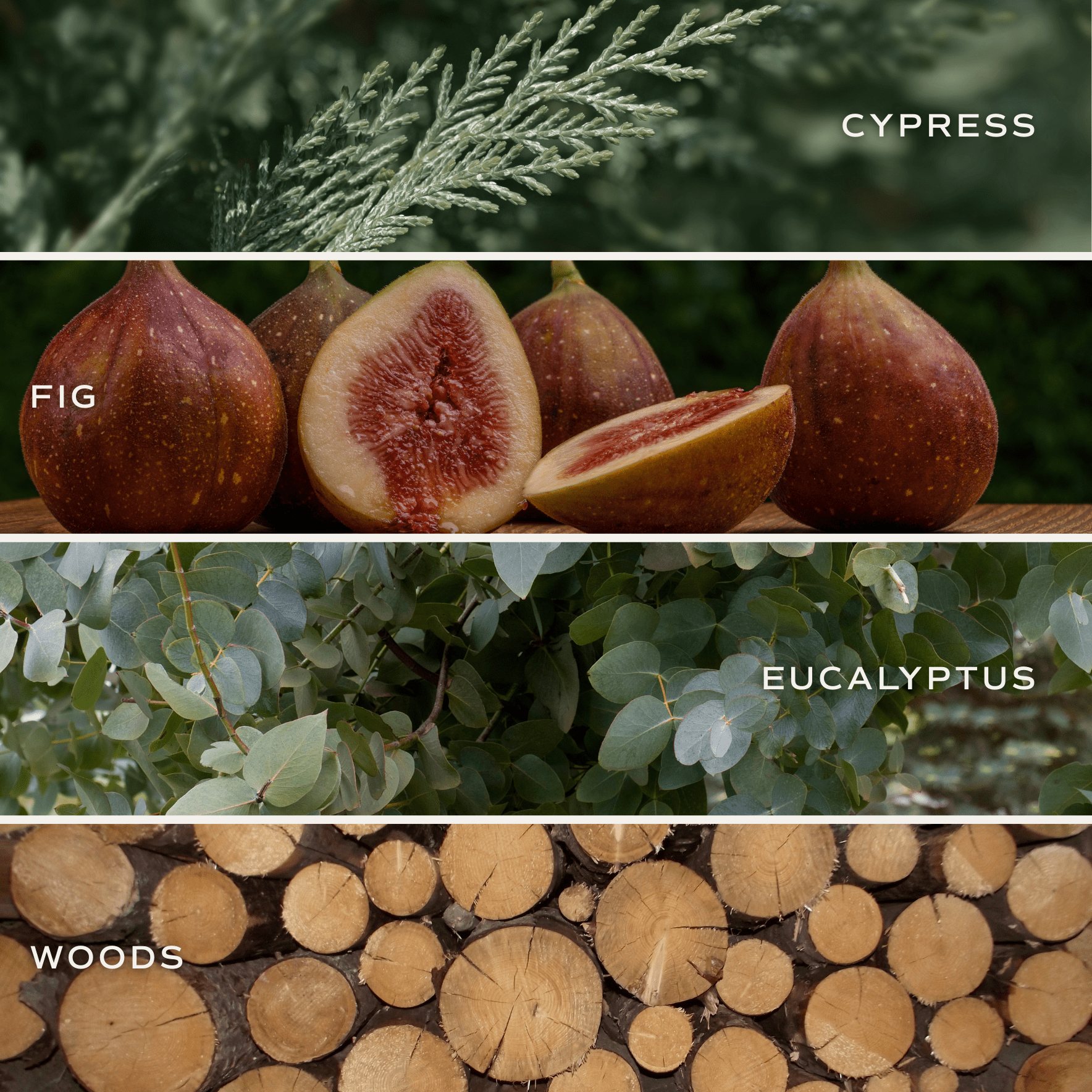 Let It Snow Soy Candle (9 oz Amber Jar)