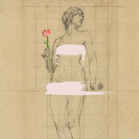 Painted Lady (8x10 PDF Download)