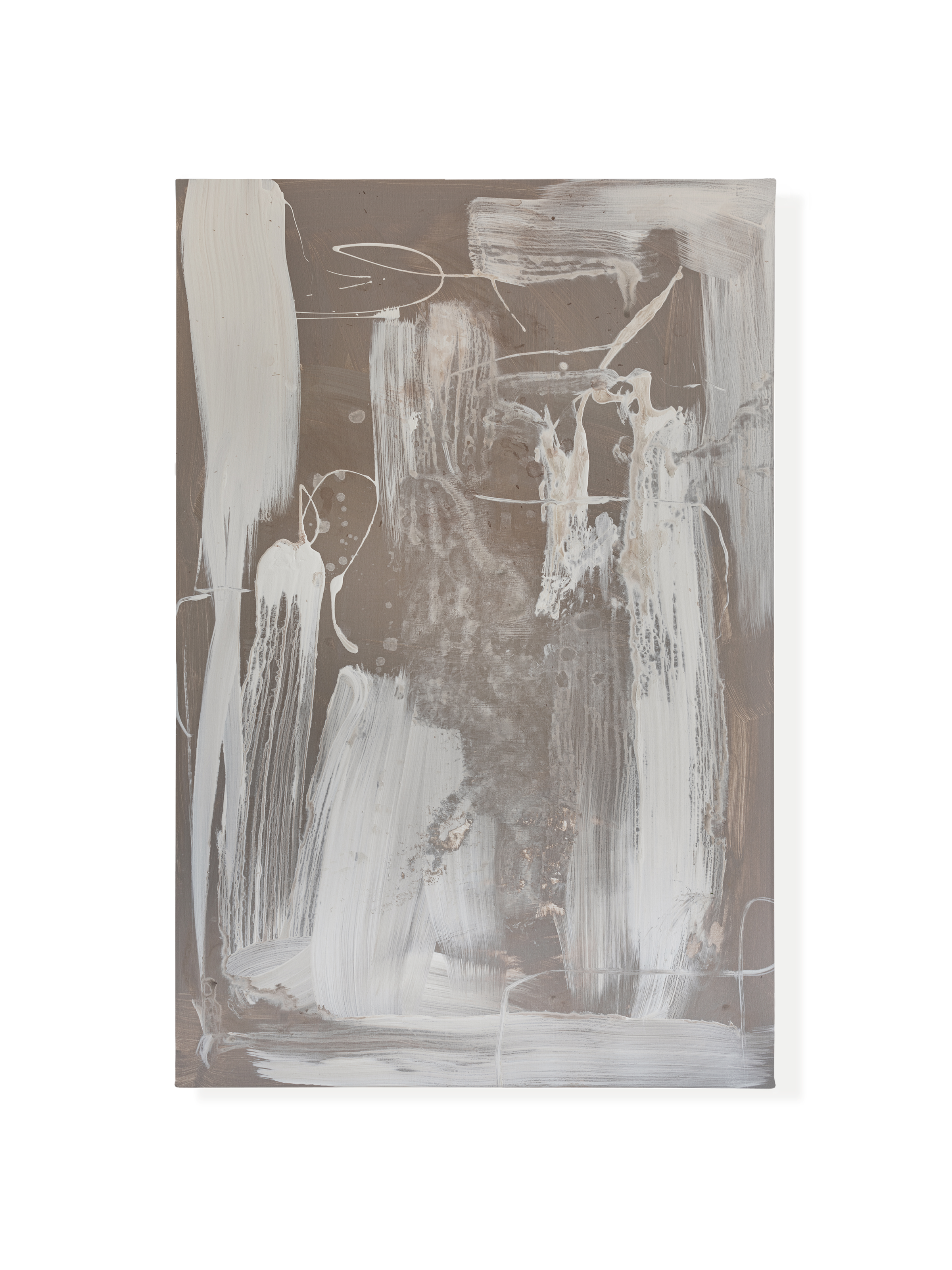 Latte | Canvas (Rectangle)