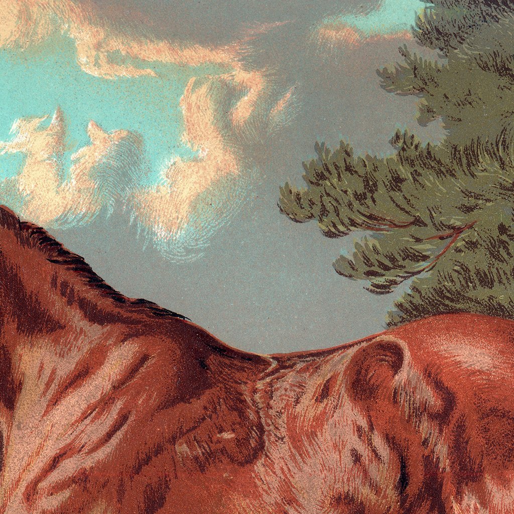 Horse Against Aqua Sky | Canvas