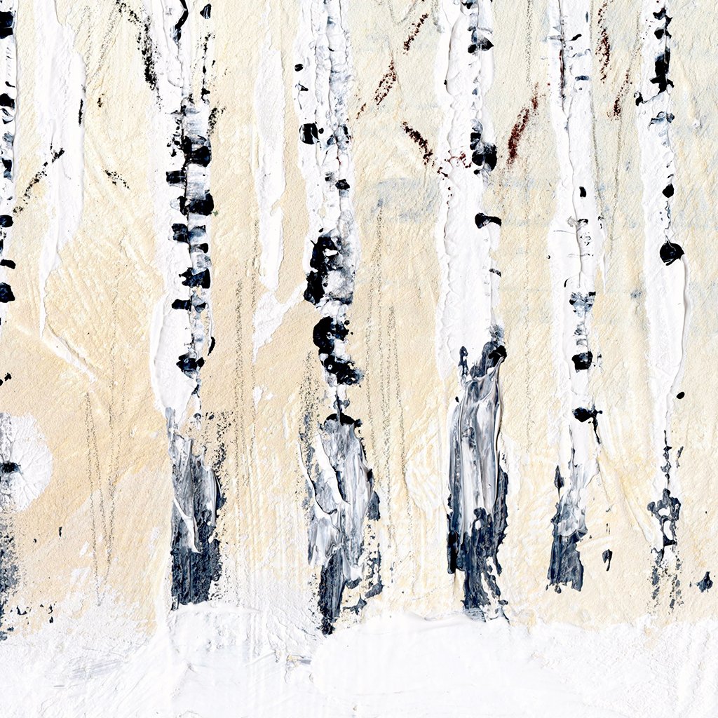 Glowing Birch | Canvas