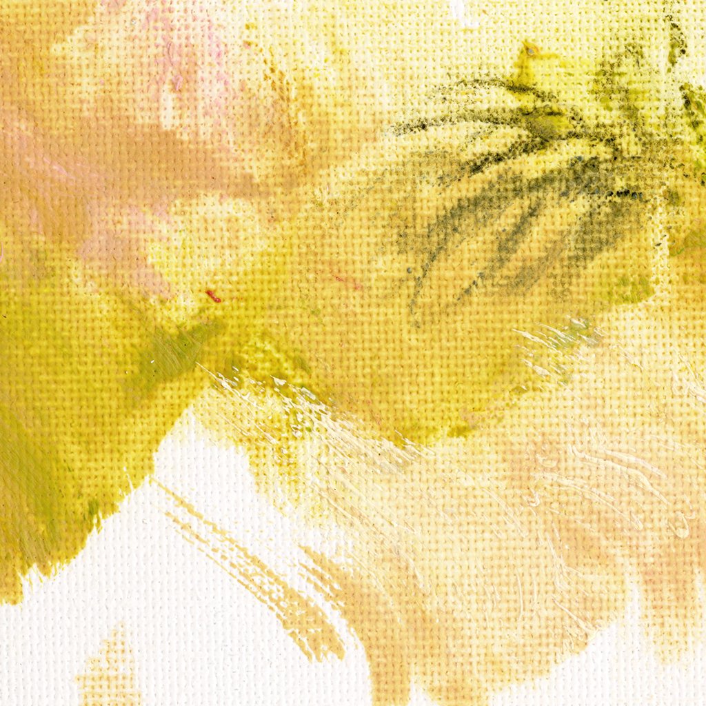 Sunny Mini ✧・゚ Textured Canvas Wall Art