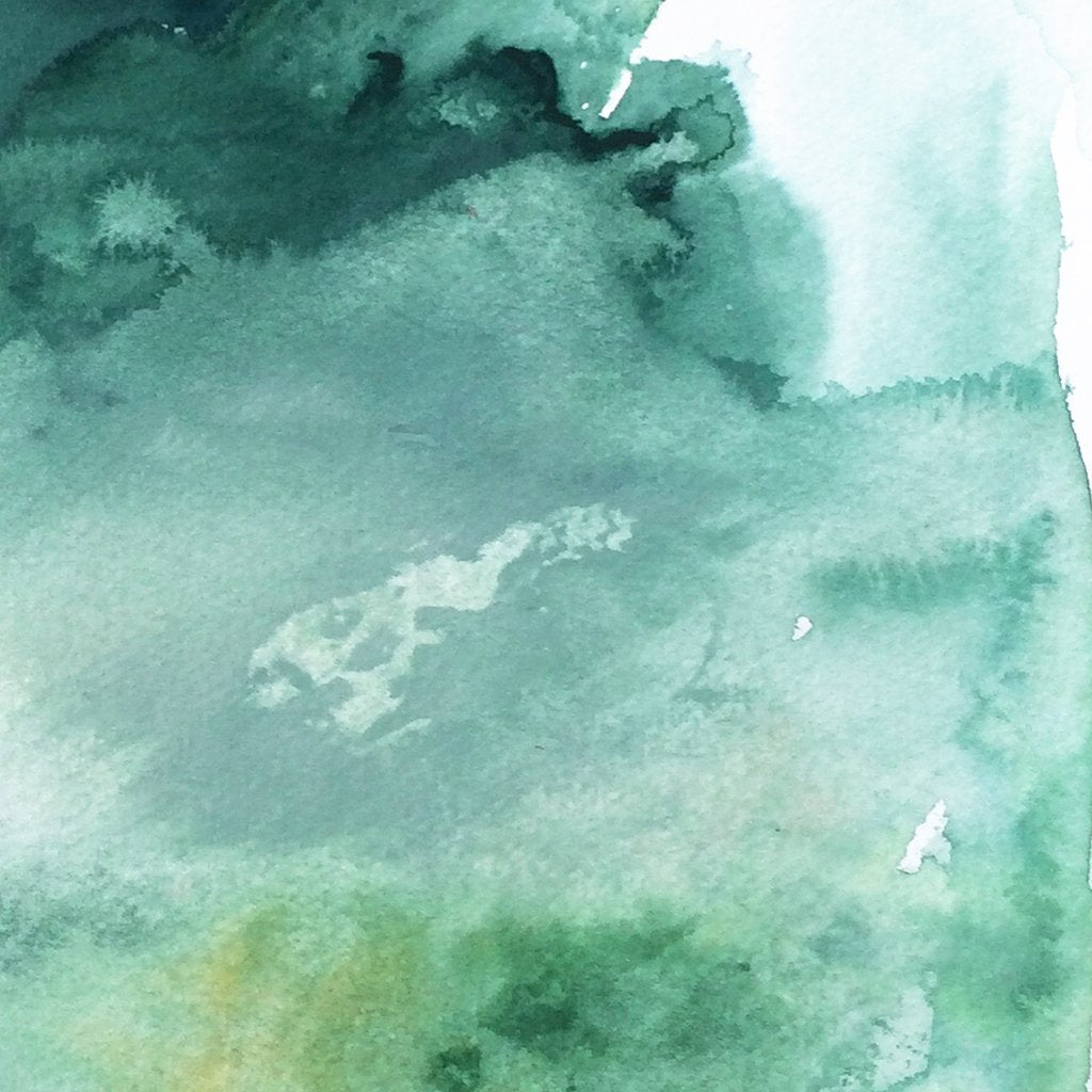 Pine on Snow Canvas Wall Art