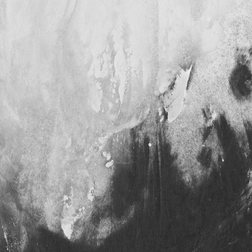 Shadow Of Your Wing | Canvas