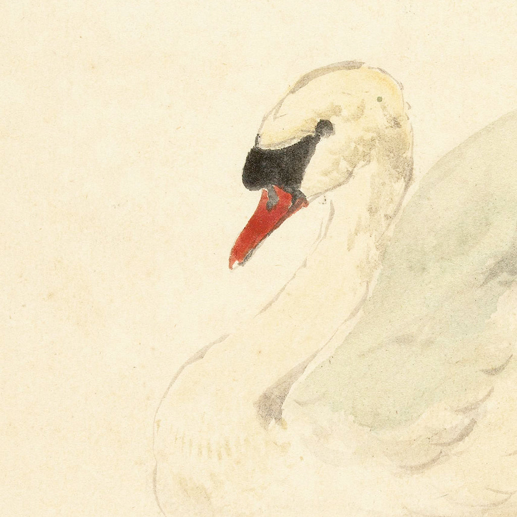 Ivory Swan Canvas Wall Art . Square