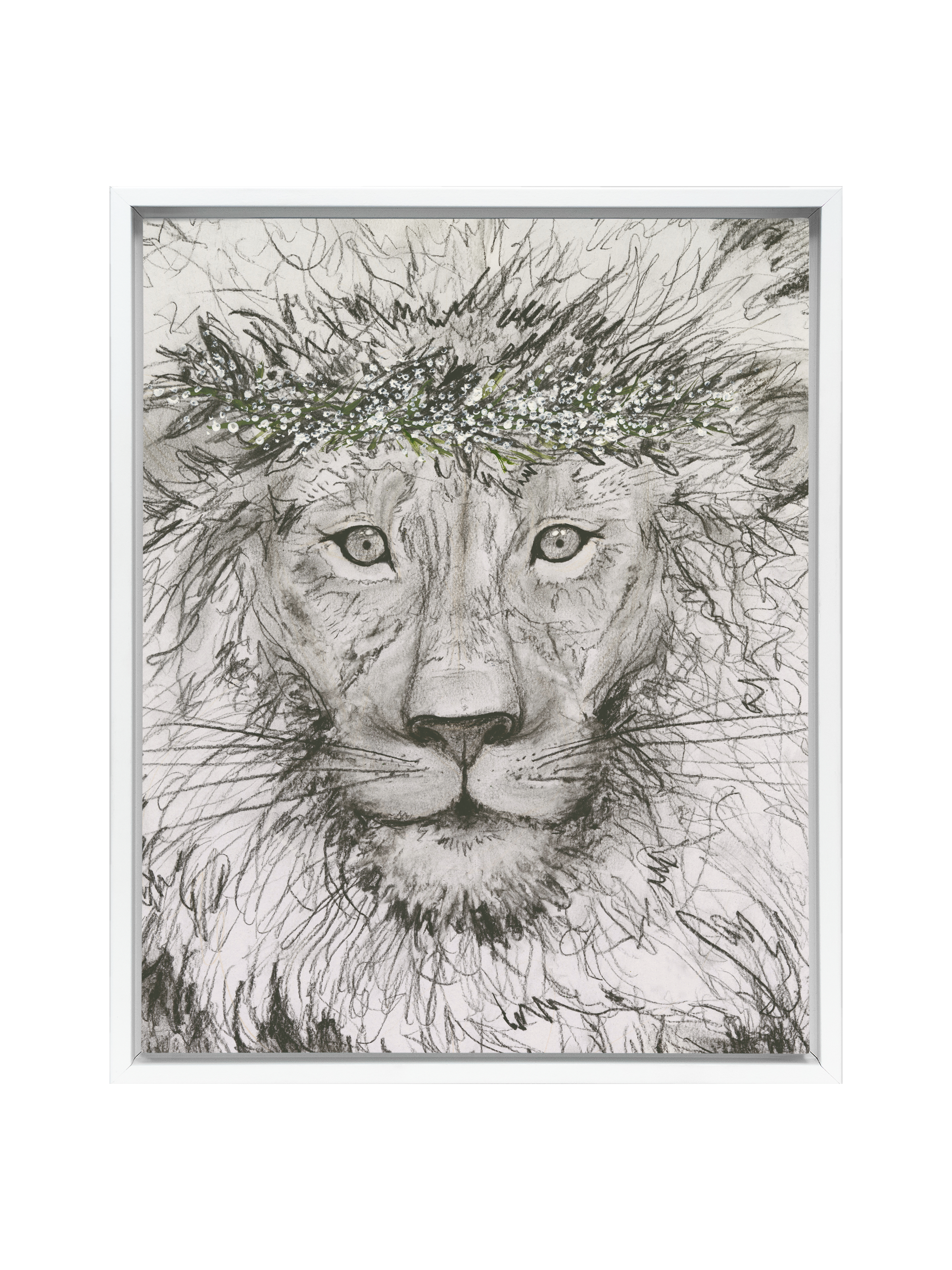 Aslan | Canvas