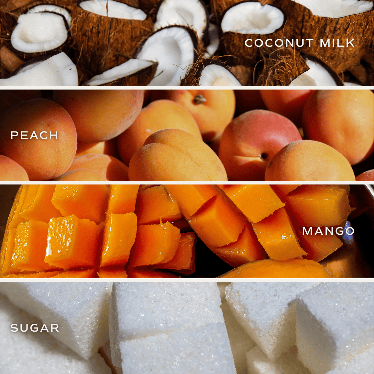 Mango and Coconut Soy Candle - Tan Matte Jar - 15 oz