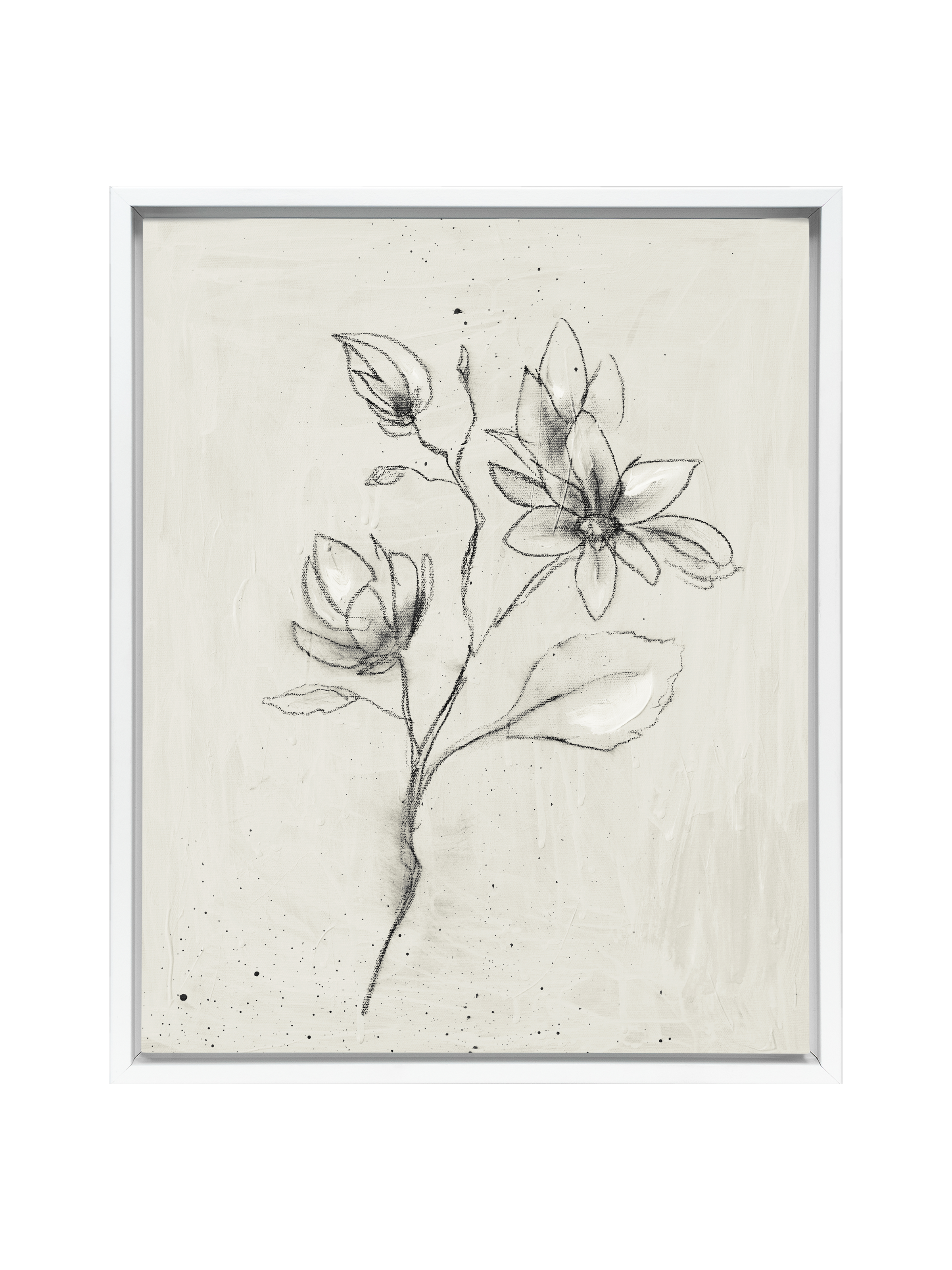 Magnolia Stem | Canvas (Classic)
