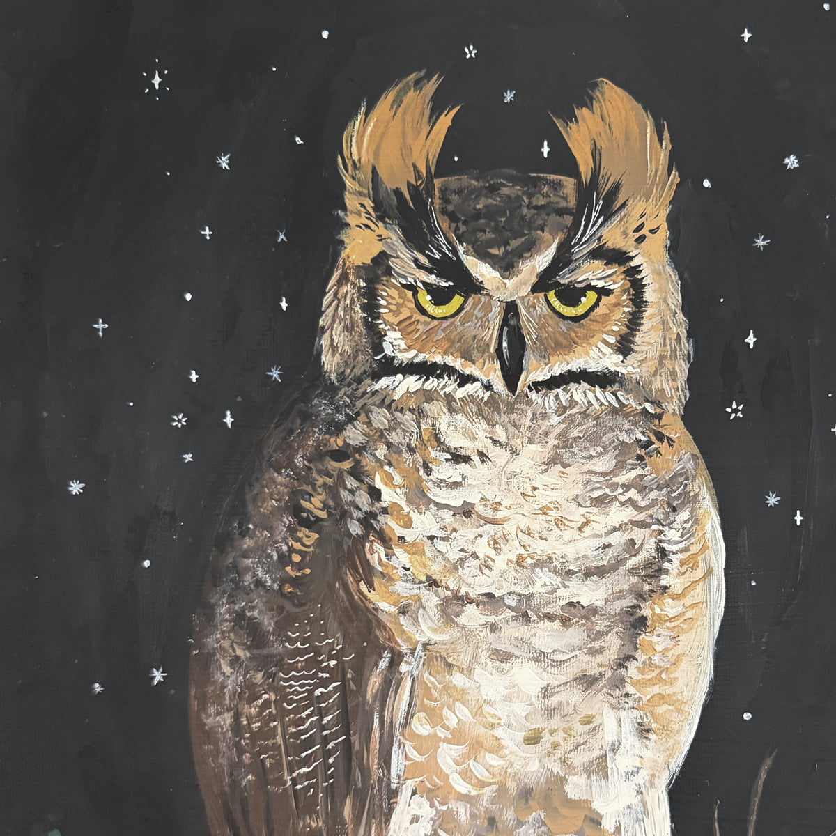 Night Watch Owl Canvas Wall Art