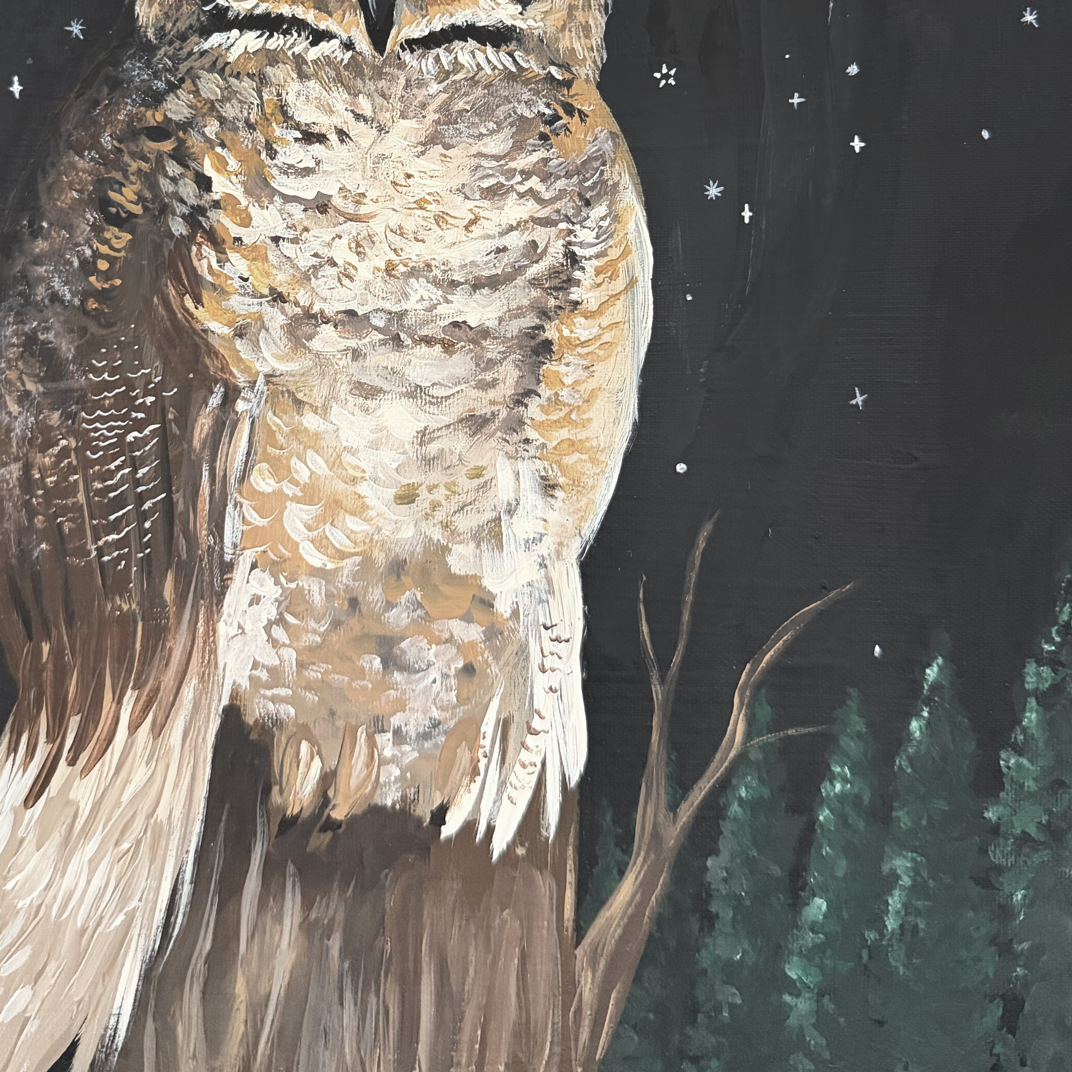 Night Watch Owl Canvas Wall Art