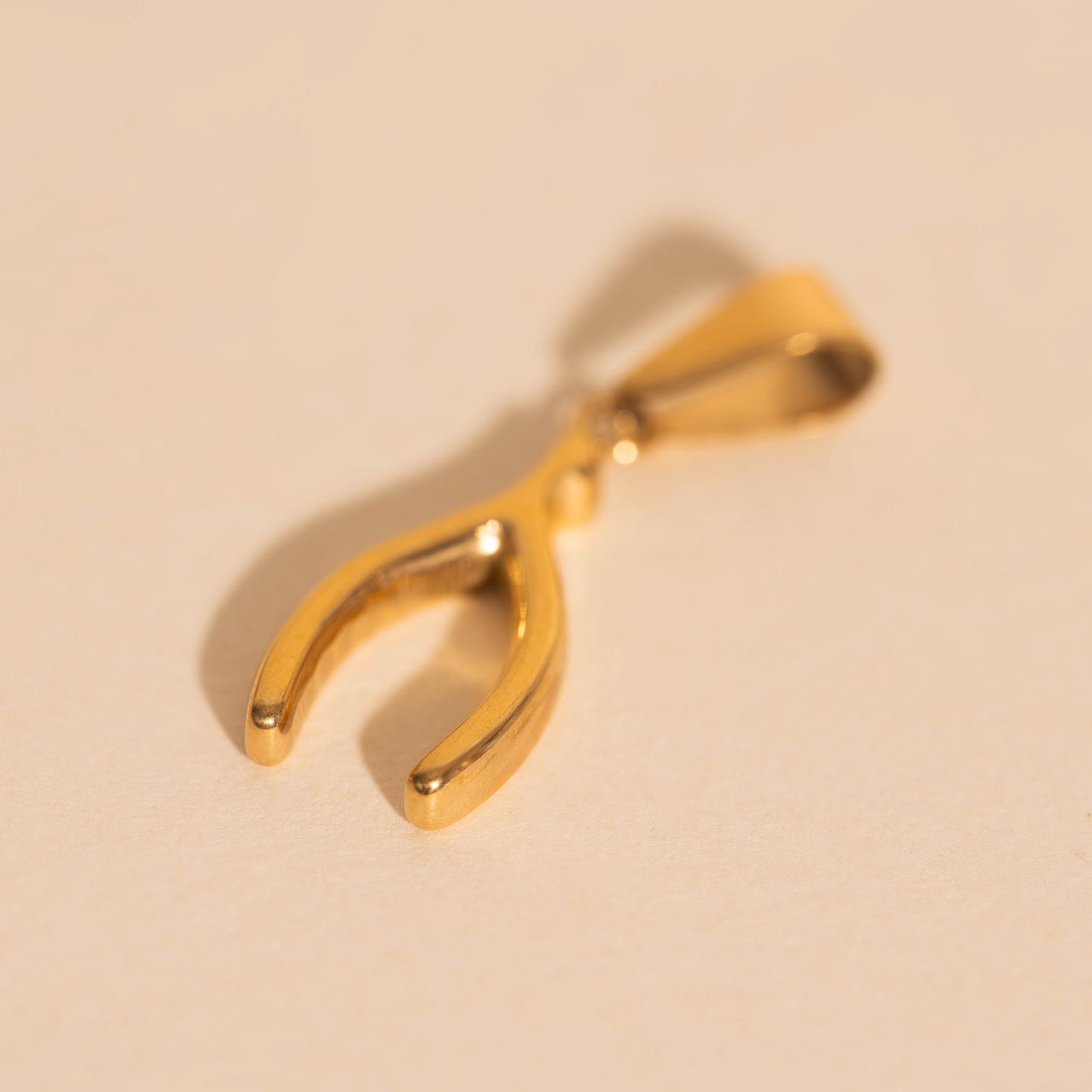 Wishbone Necklace Charm