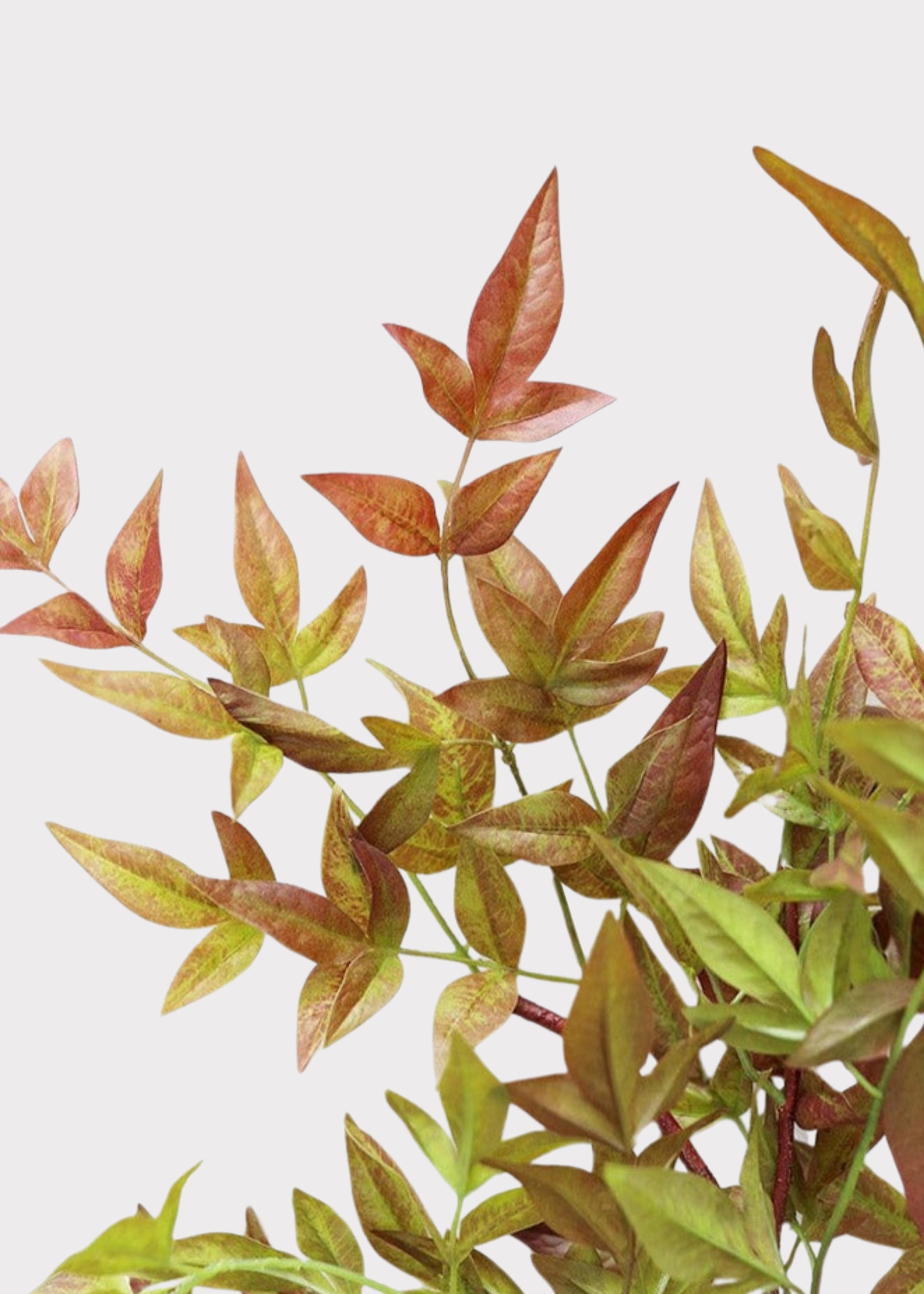 SAVE - Artificial Nandina Leaf Branch - 39"