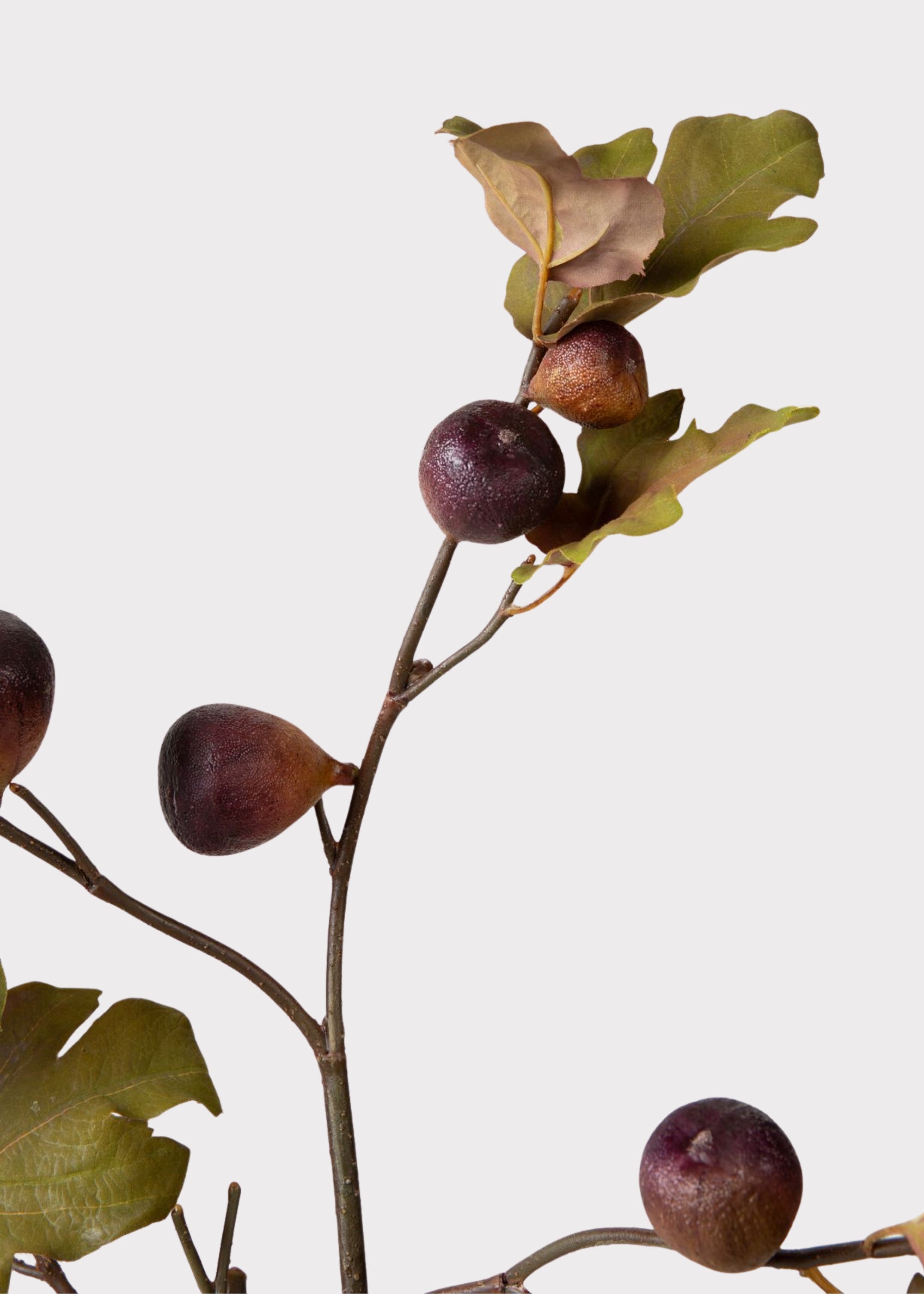 Premium Faux Fig Branch in Eggplant - 37"