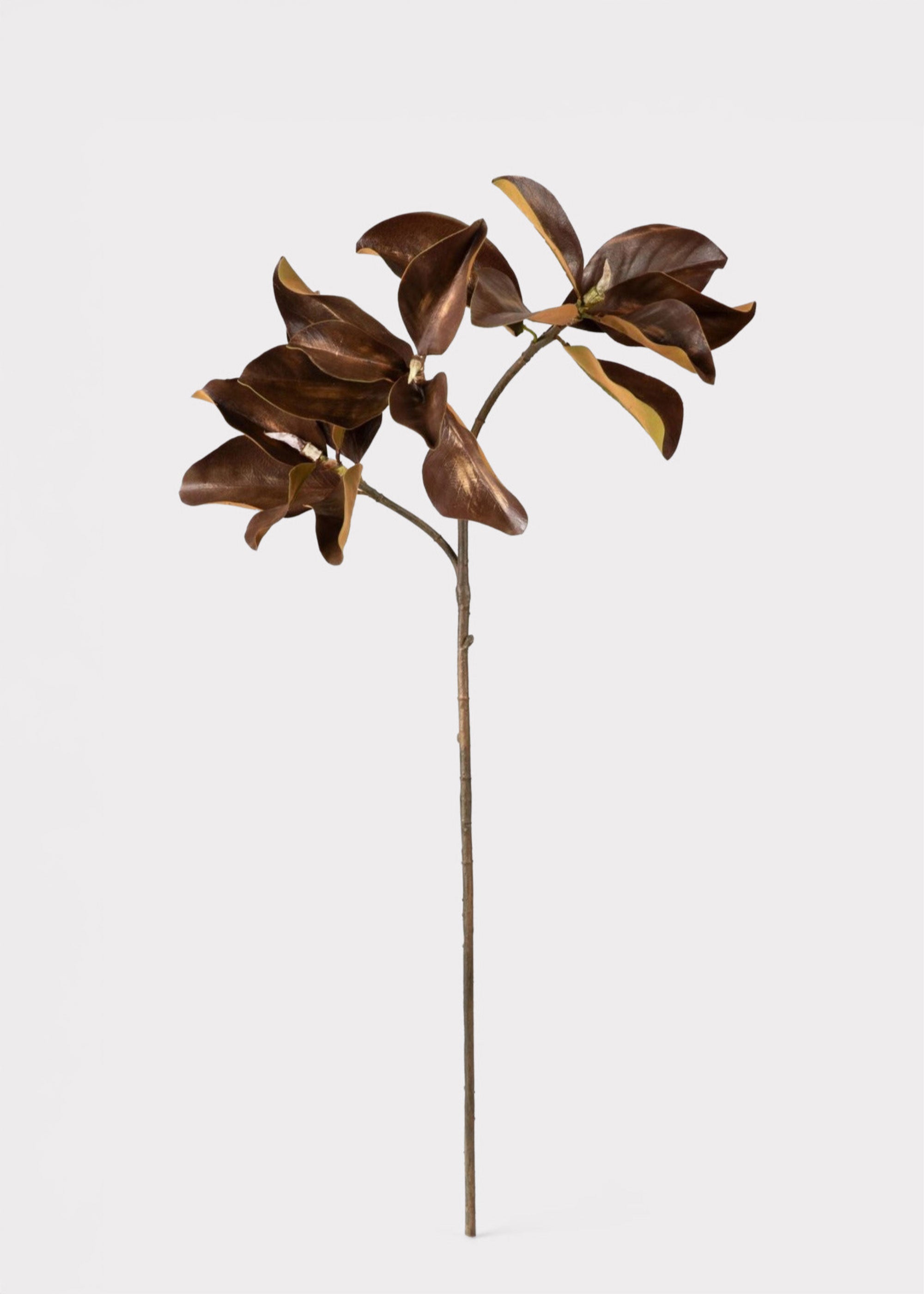 Warm Brown Fake Magnolia Leaf Branch - 38.5"