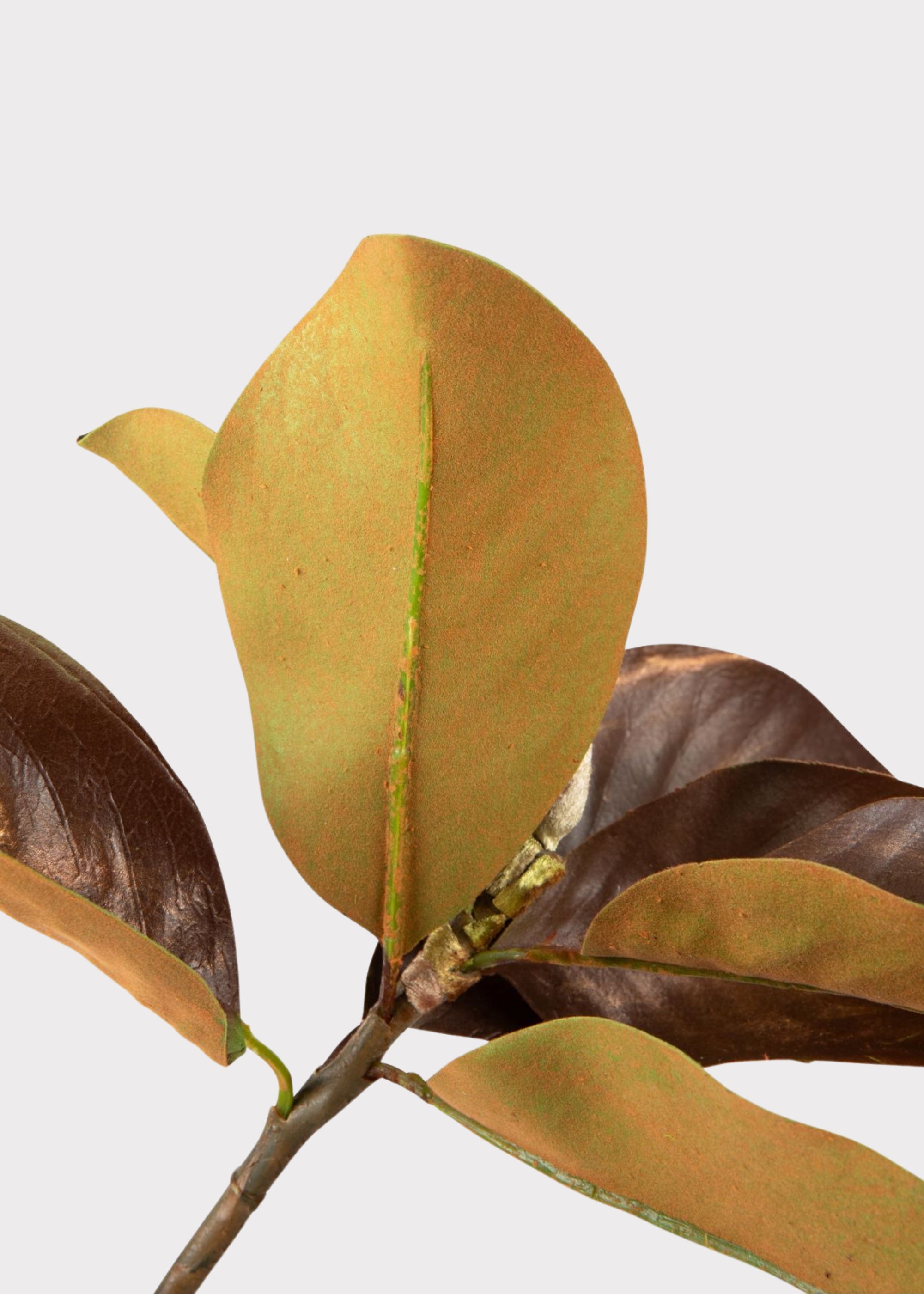 Warm Brown Fake Magnolia Leaf Branch - 38.5"