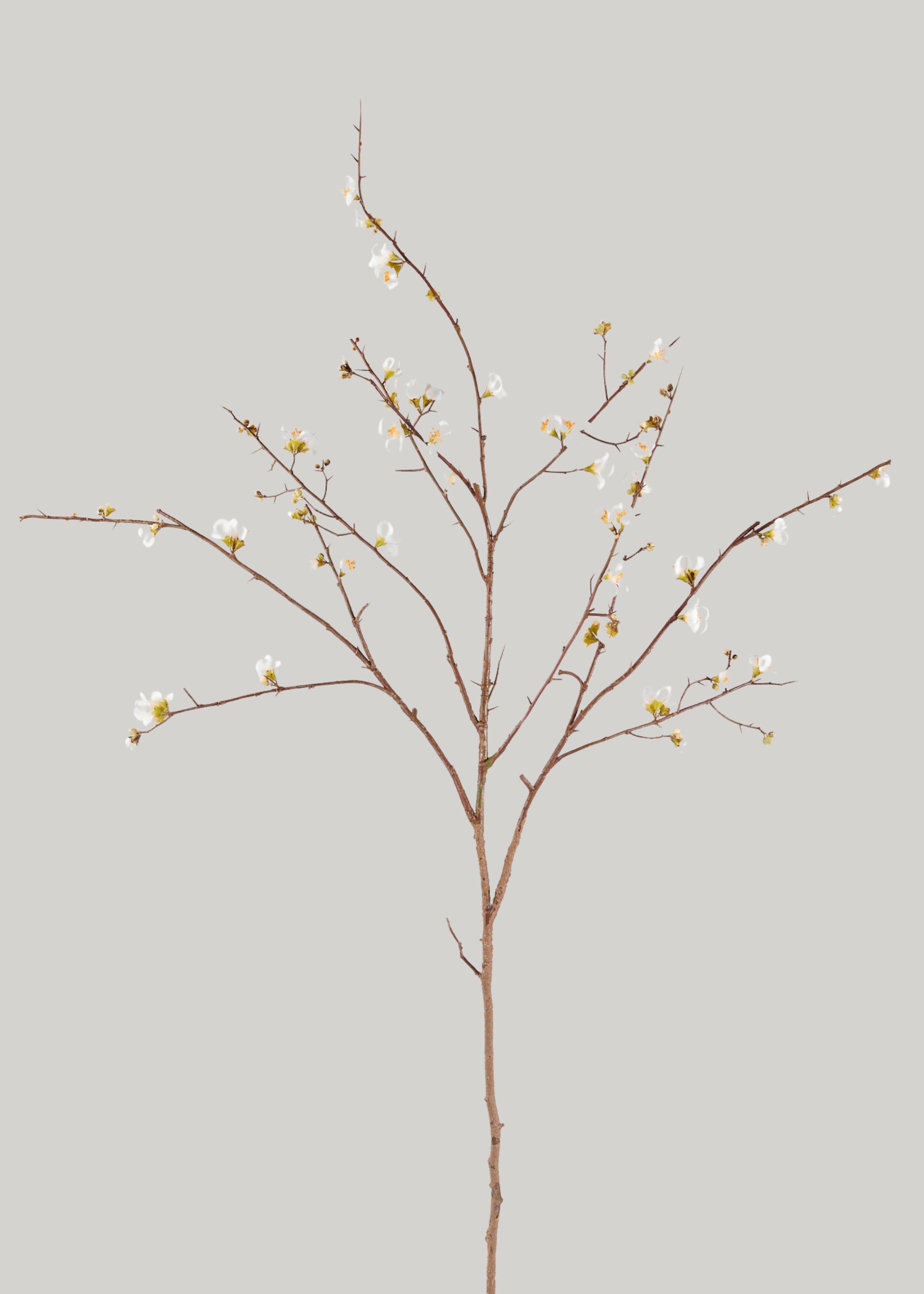 SAVE - Faux Quince Blossom Branch in Cream - 54"