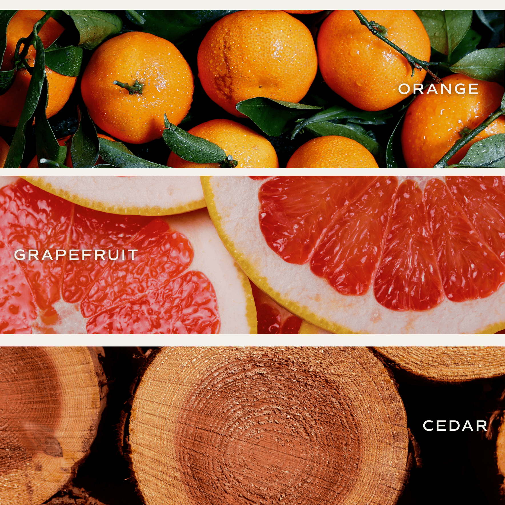 All Over Hearts Soy Candle (12 oz Tinted Glass Jar)