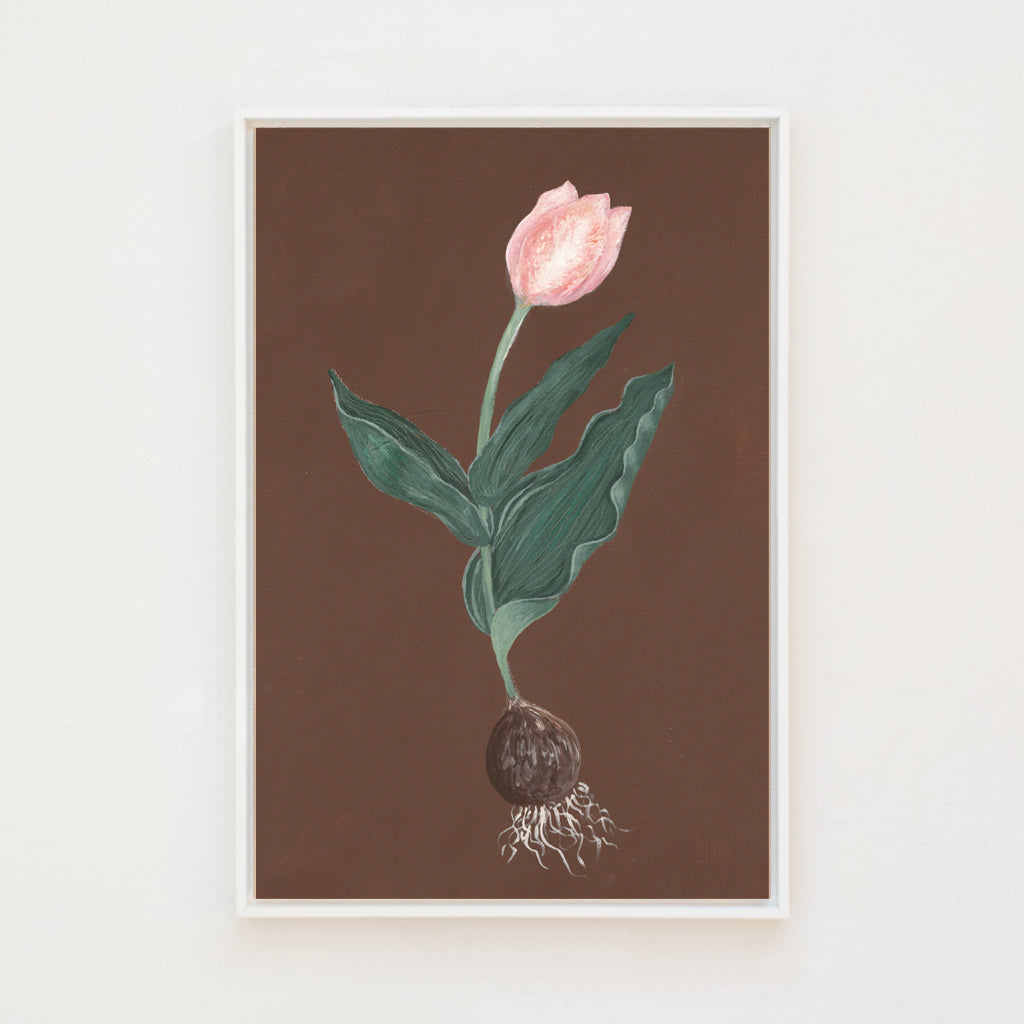 Pink Tulip Botanical Canvas Wall Art . Rectangle