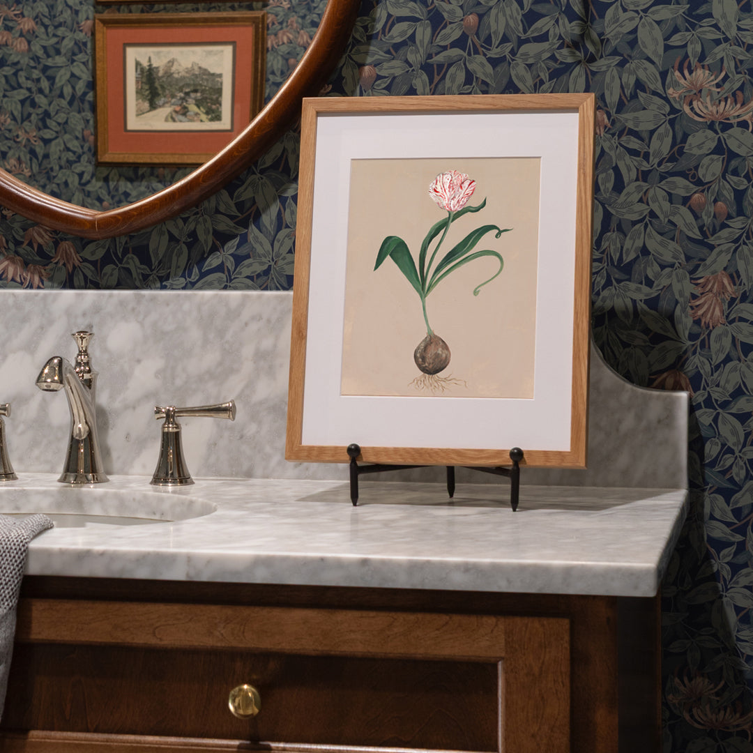 Rembrandt Tulip Botanical Luxe Art Print