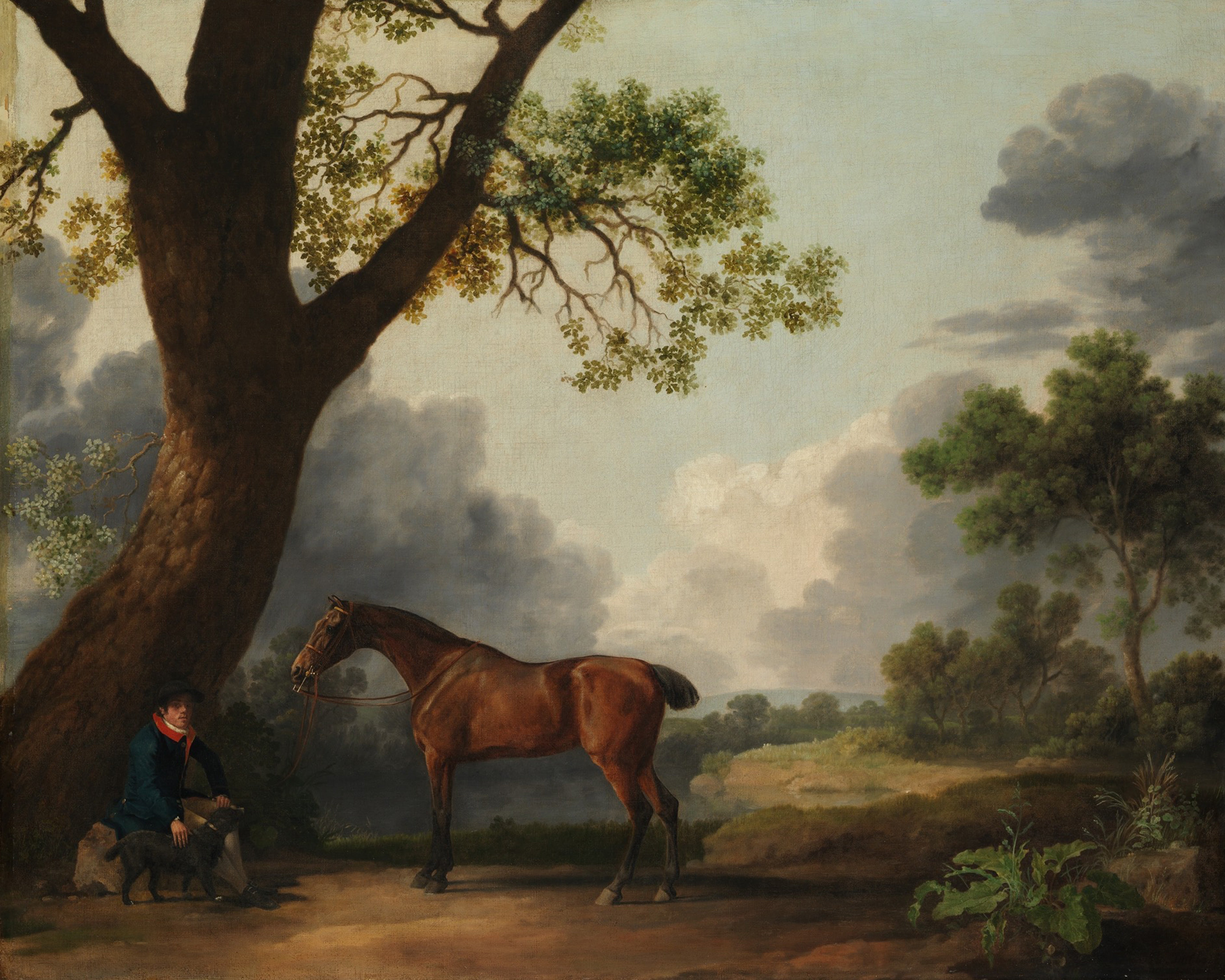 Man Resting with Horse Canvas
