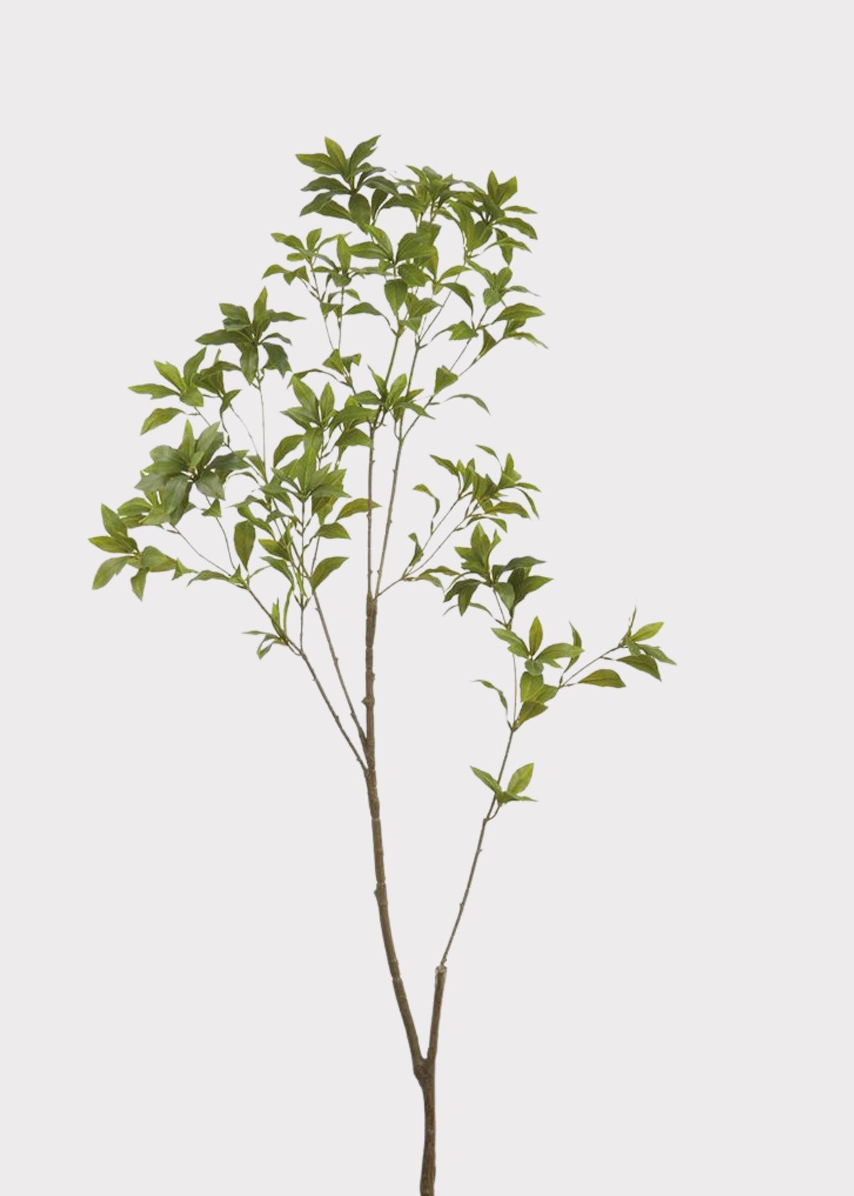 Deluxe Tall Japonica Fake Leaf Branch - 59"