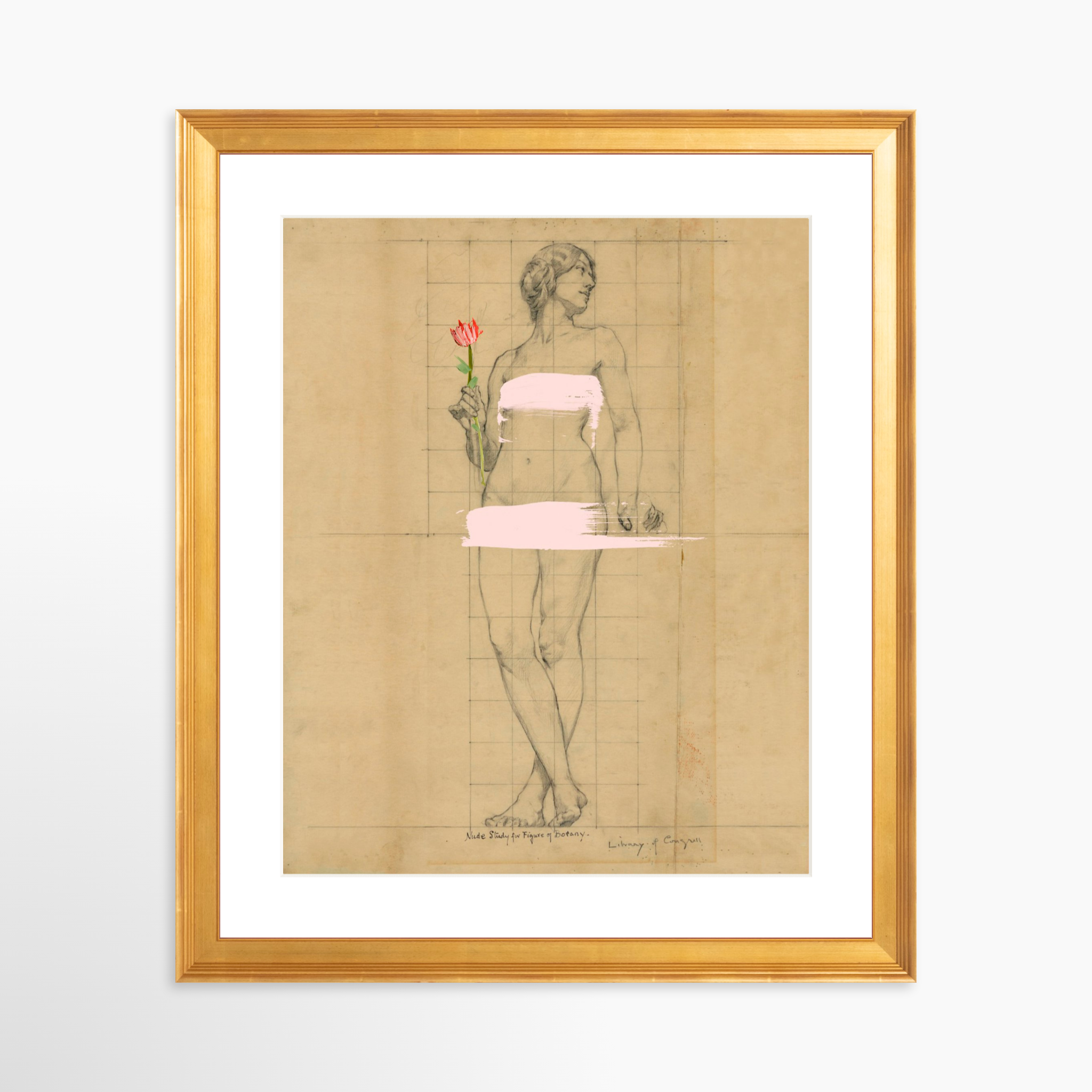 24x30 / Certificate Gold Frame + White Mat