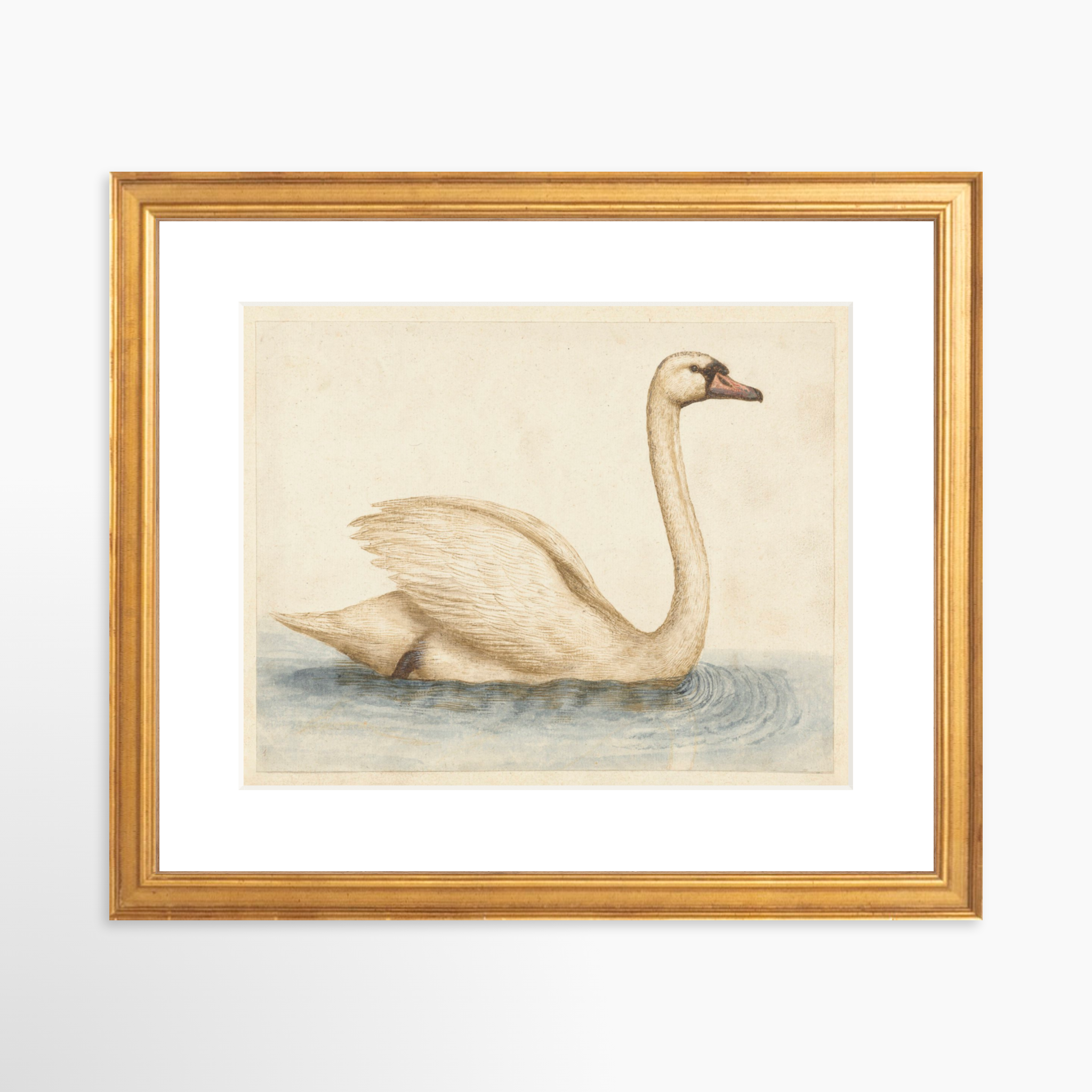 10x8 / Certificate Gold Frame + White Mat