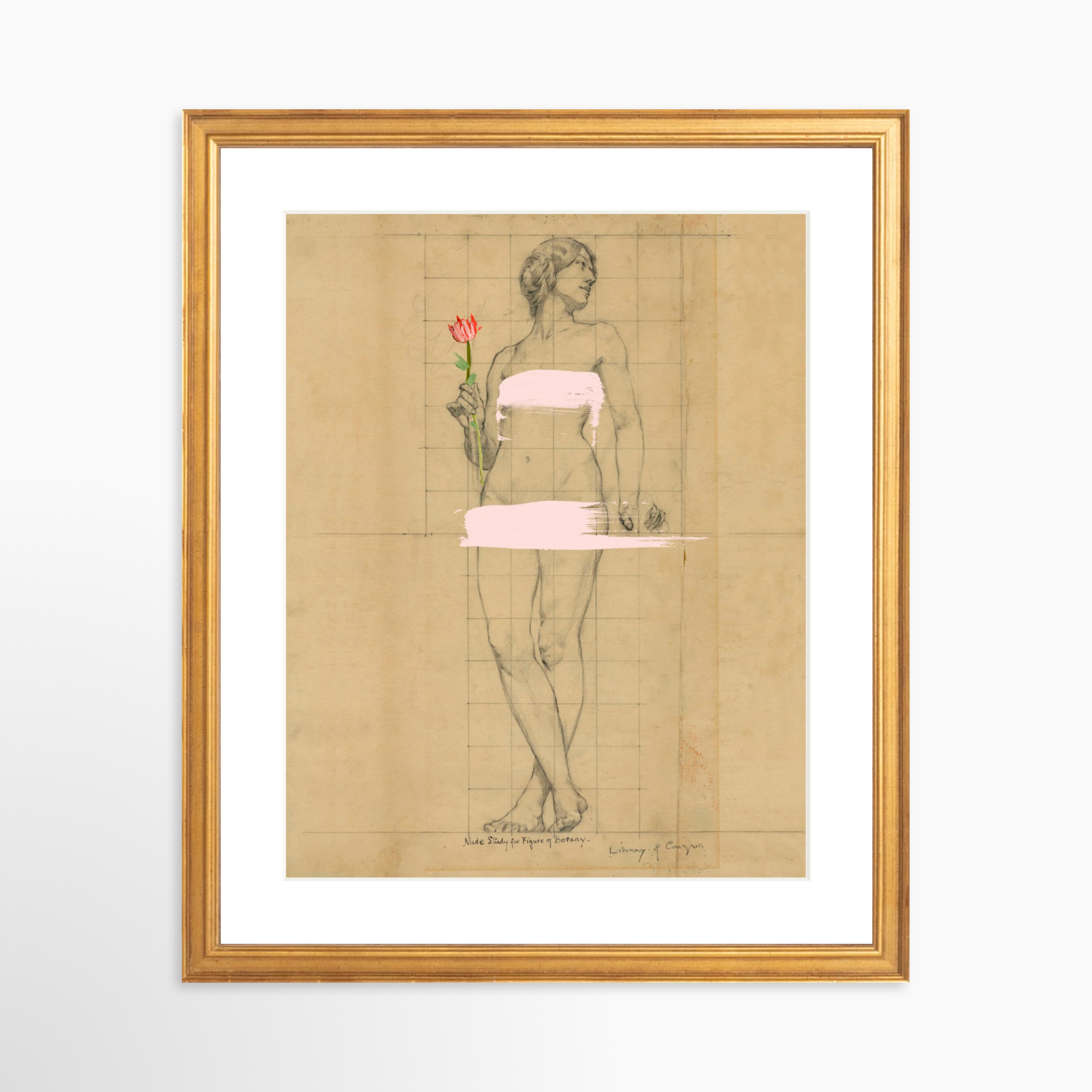 11x14 / Certificate Gold Frame + White Mat