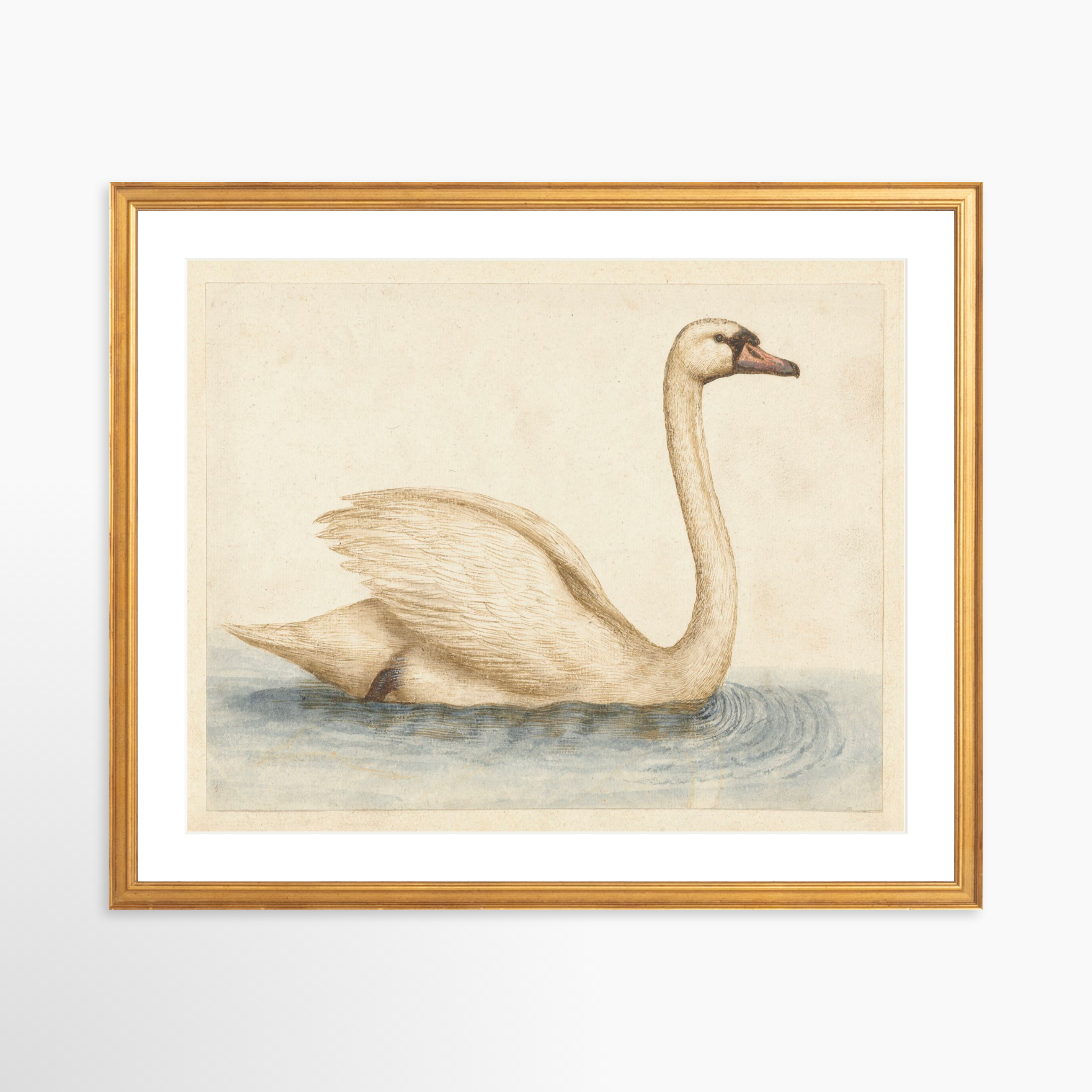 20x16 / Certificate Gold Frame + White Mat