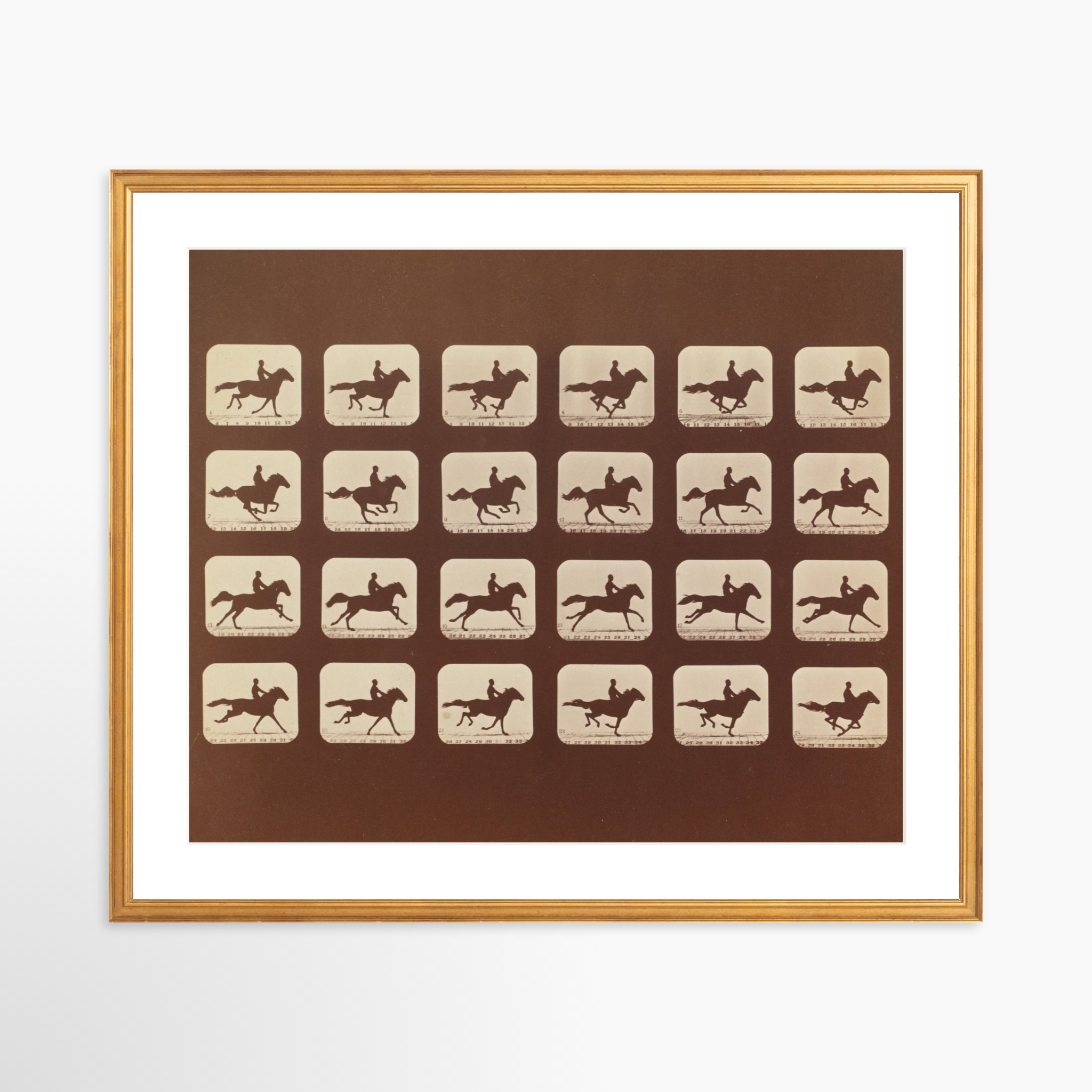 24x20 / Certificate Gold Frame + White Mat