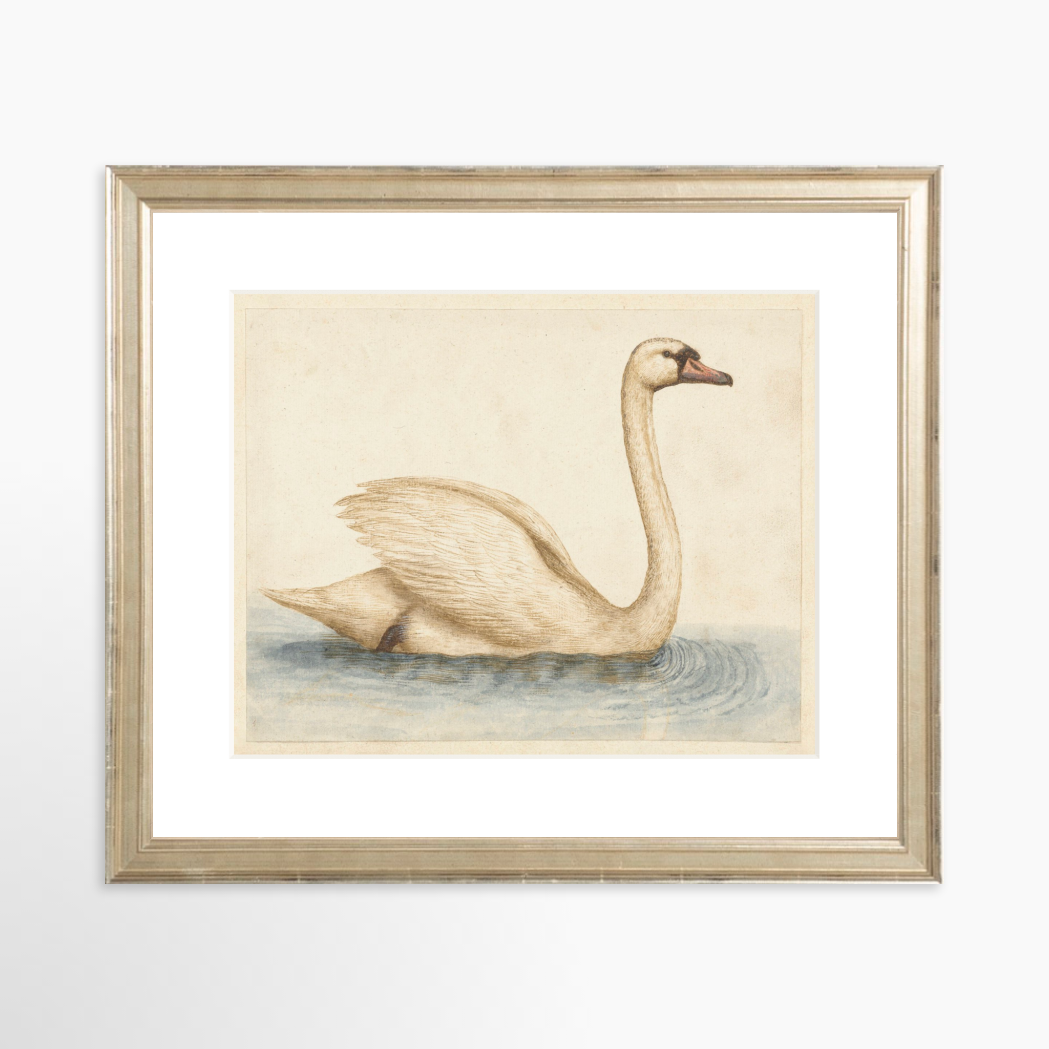 10x8 / Certificate Silver Frame + White Mat