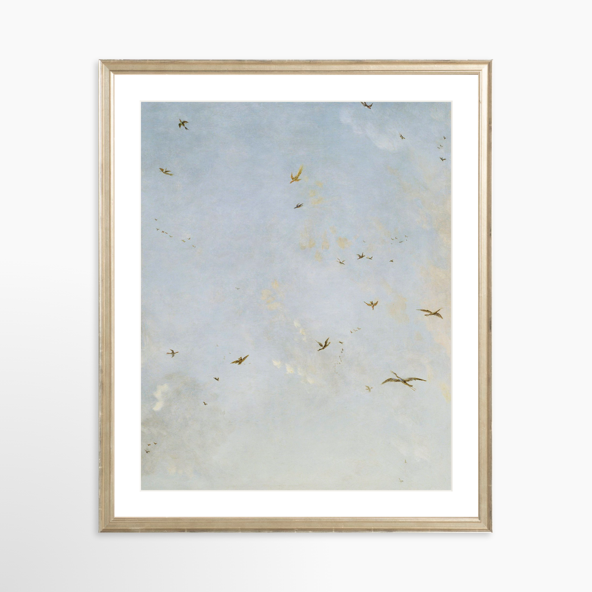 16x20 / Certificate Silver Frame + White Mat