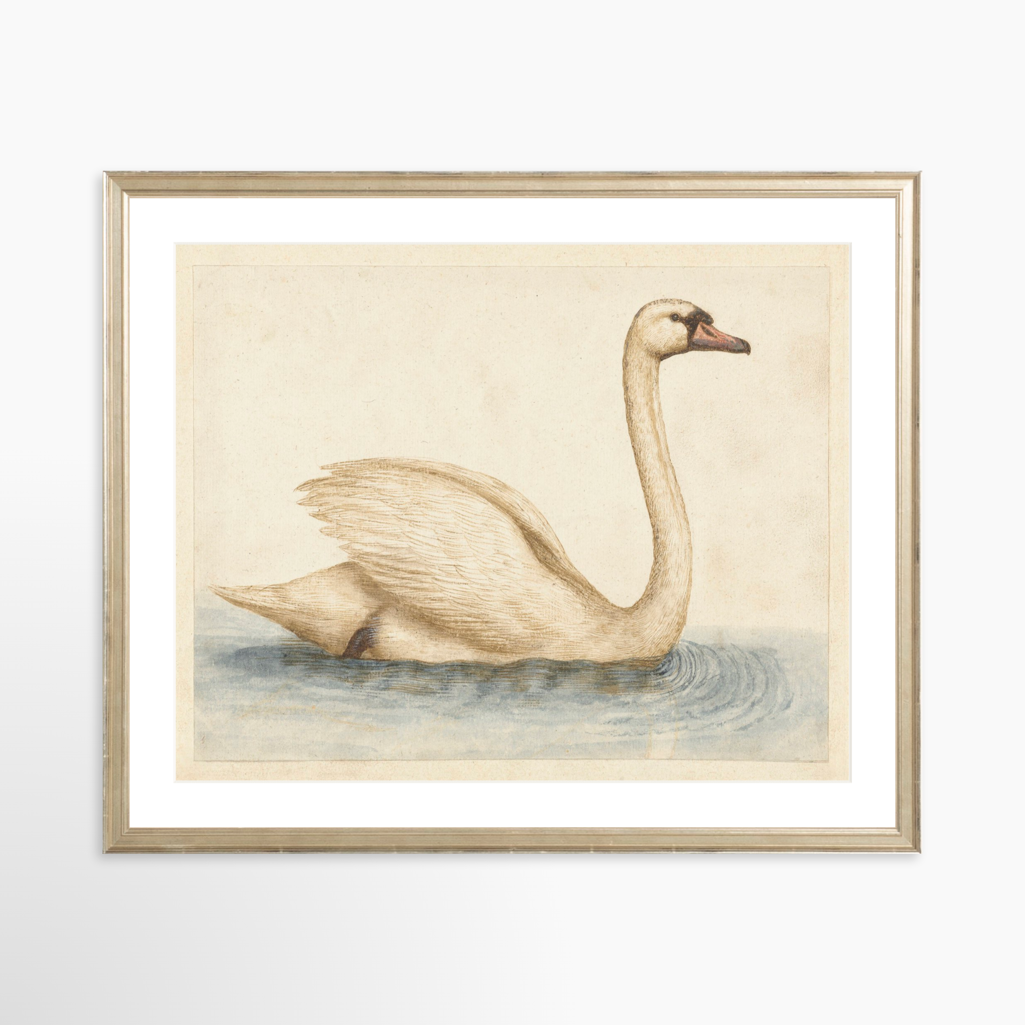 20x16 / Certificate Silver Frame + White Mat