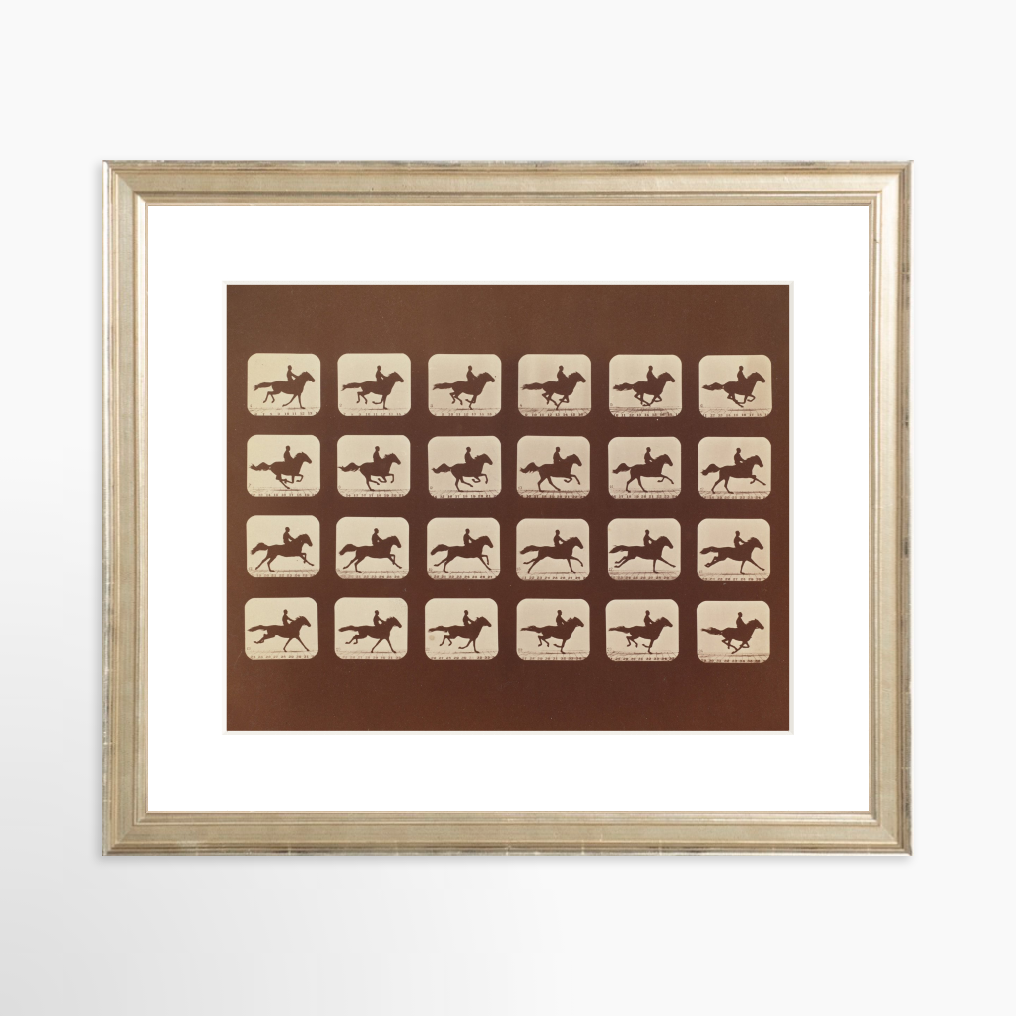 10x8 / Certificate Silver Frame + White Mat